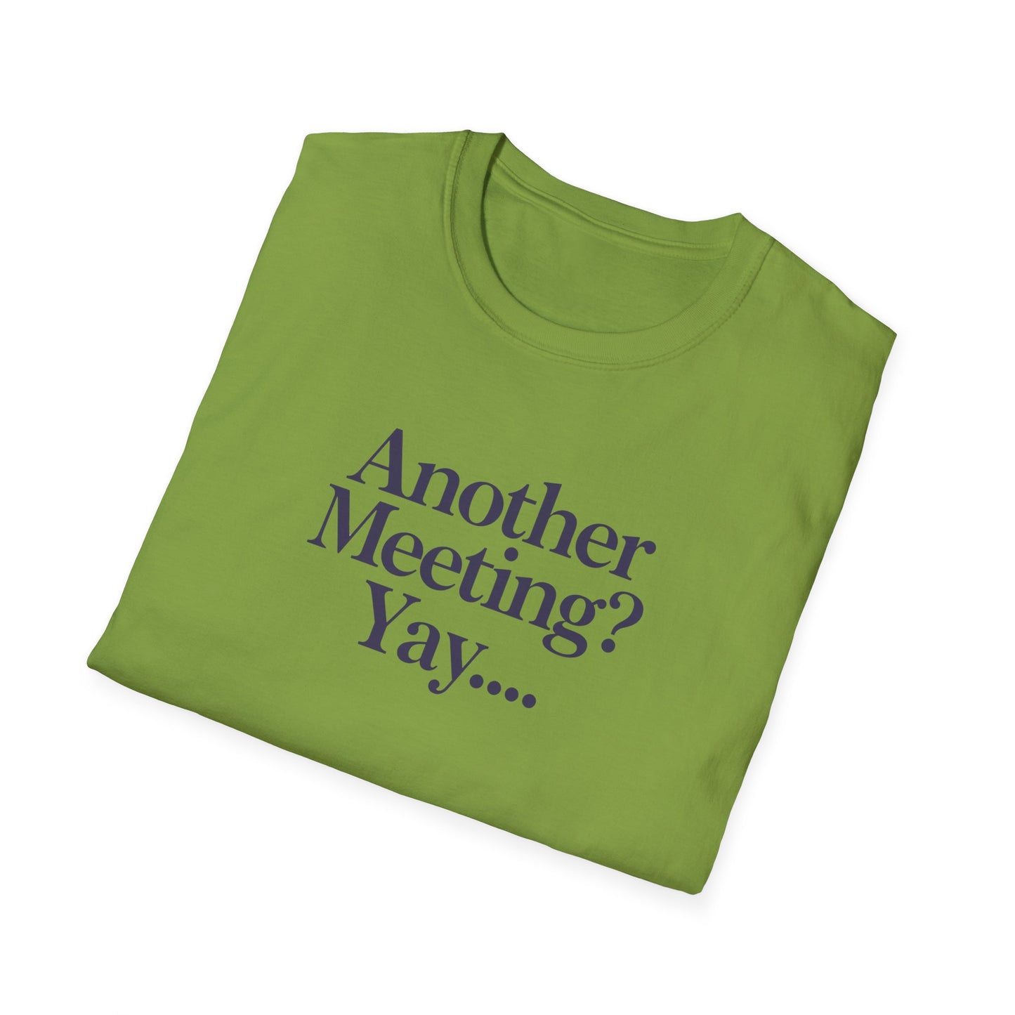 Funny Meeting T-Shirt, Gift for Coworkers