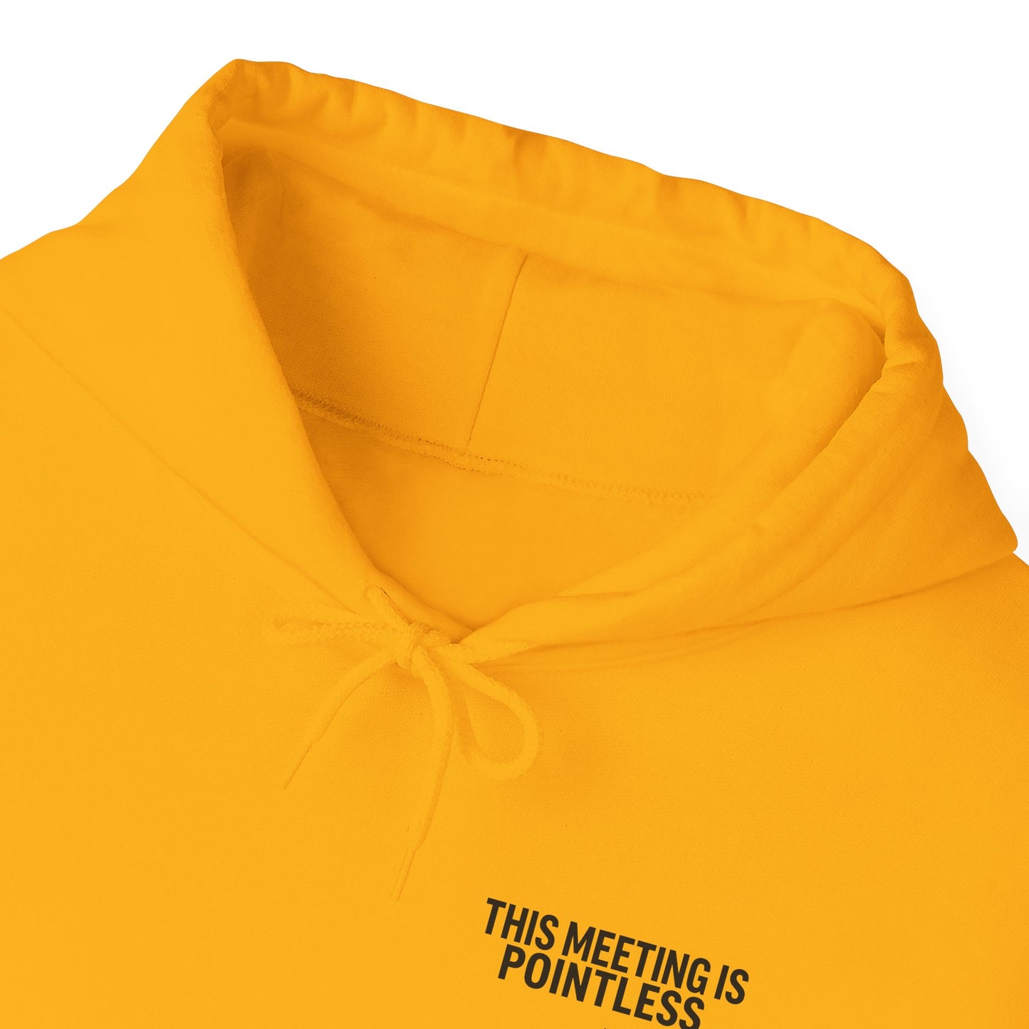 This Meeting is Pointless Hoodie, Office Jokes Hoodie