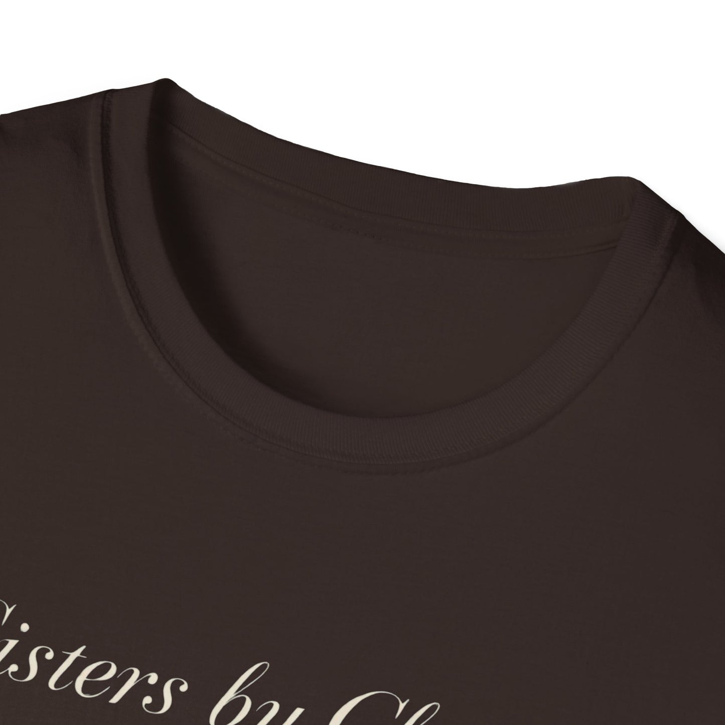 Sisters by Chance, Friends by Choice T-Shirt