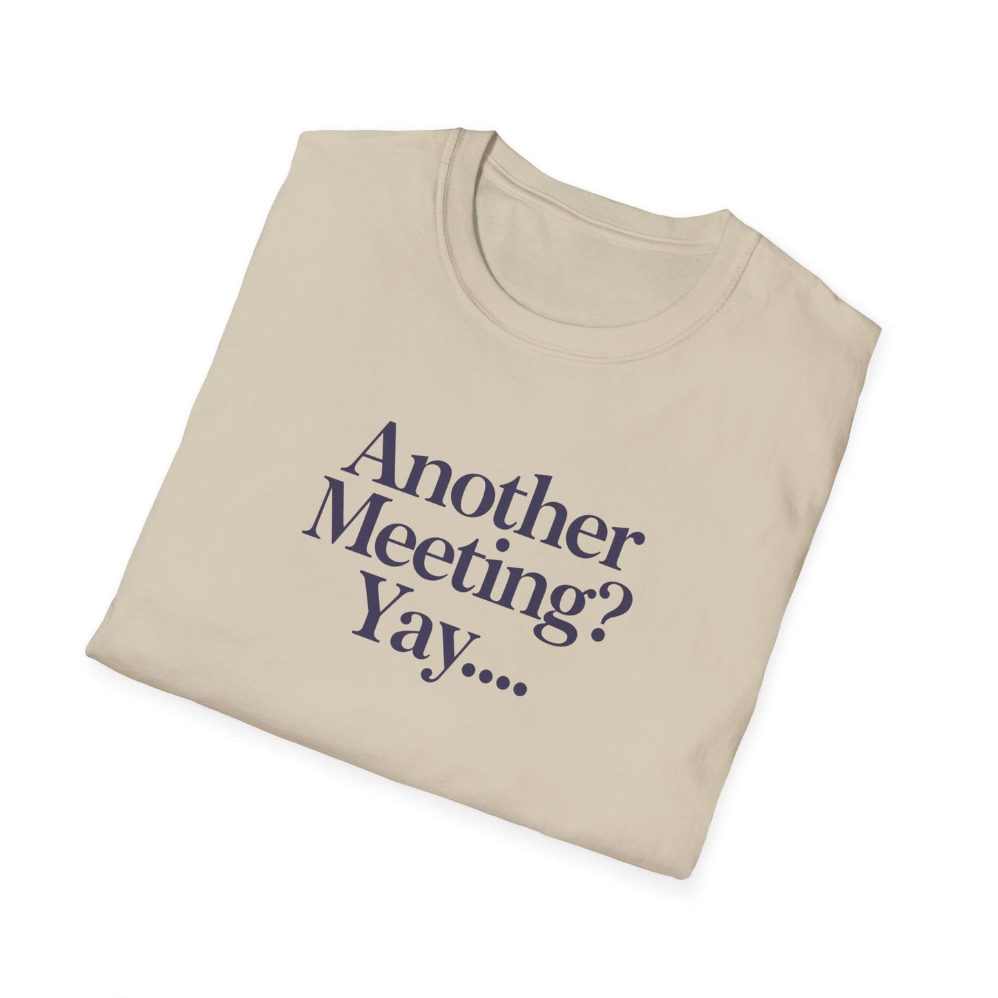 Funny Meeting T-Shirt, Gift for Coworkers