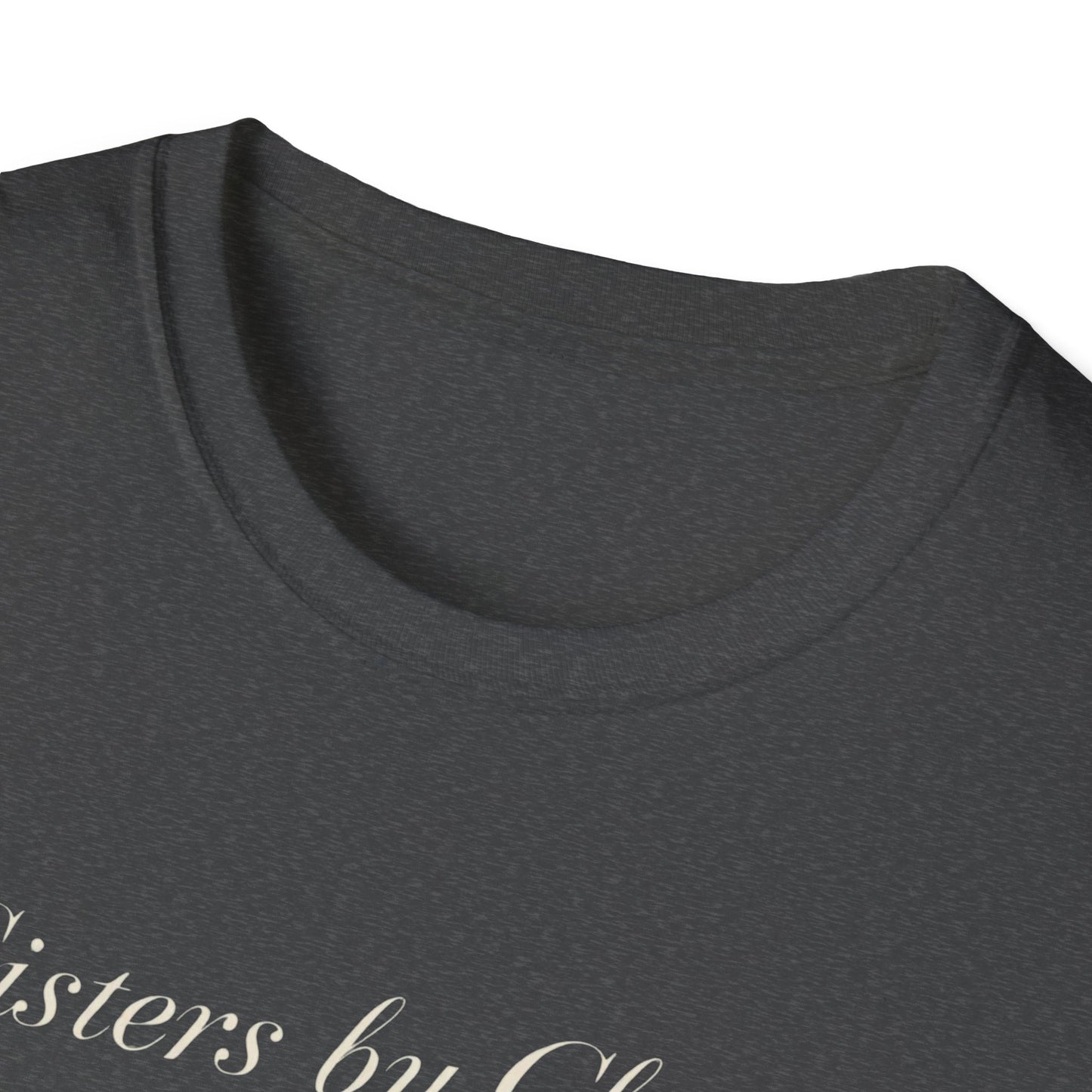 Sisters by Chance, Friends by Choice T-Shirt