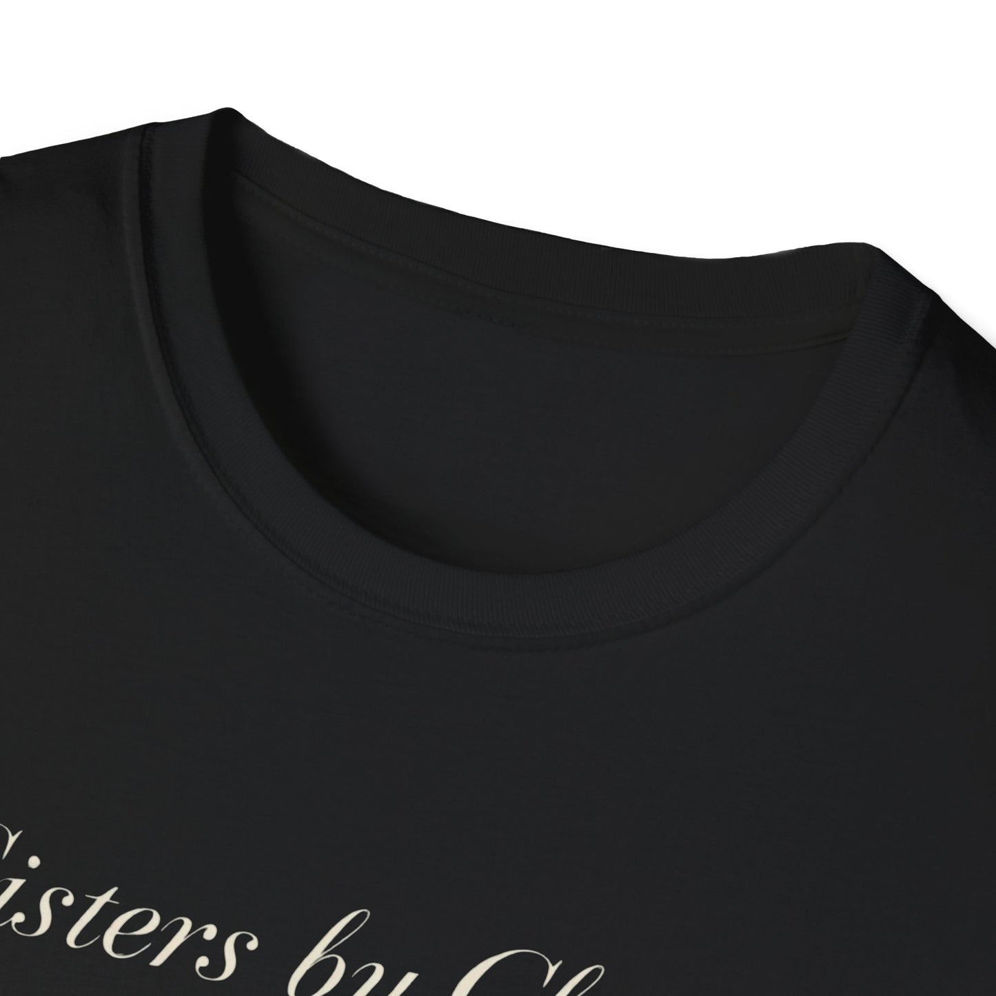 Sisters by Chance, Friends by Choice T-Shirt