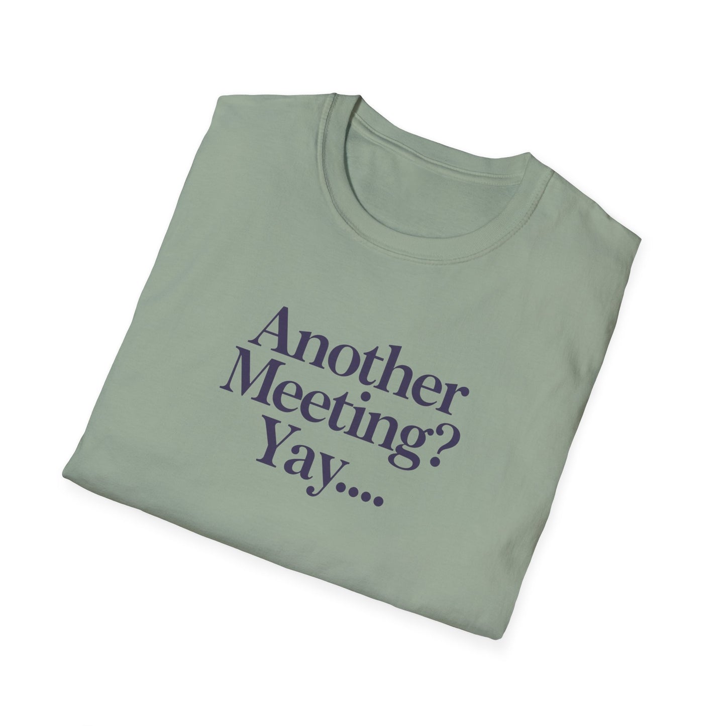 Funny Meeting T-Shirt, Gift for Coworkers