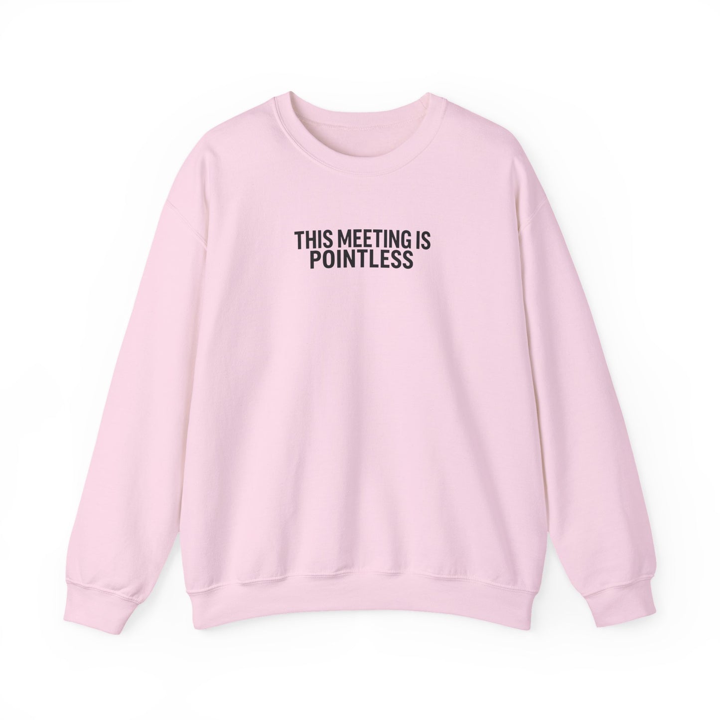 Funny Crewneck Sweatshirt - This Meeting Is Pointless