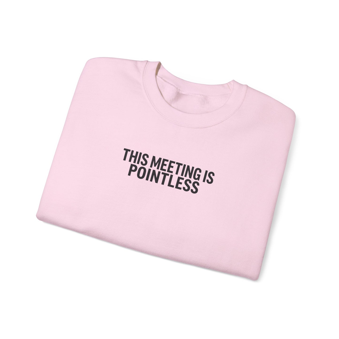 Funny Crewneck Sweatshirt - This Meeting Is Pointless