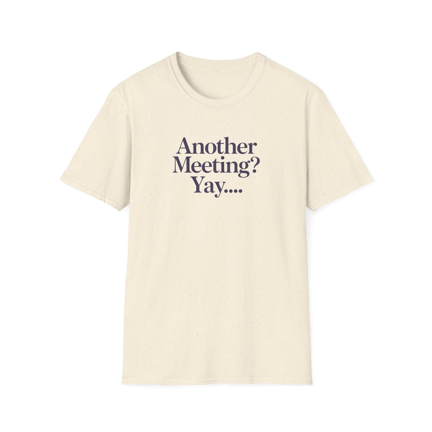Funny Meeting T-Shirt, Gift for Coworkers