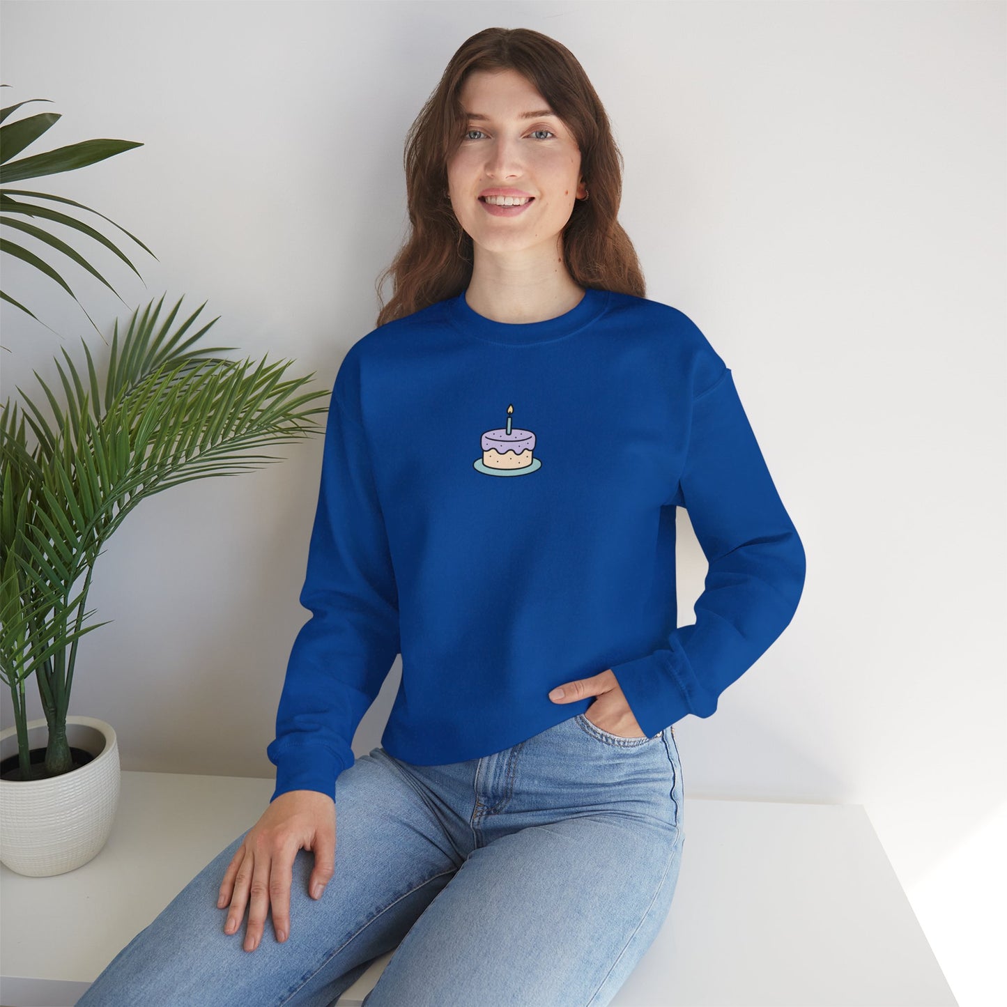 Cute Cake Birthday Sweatshirt
