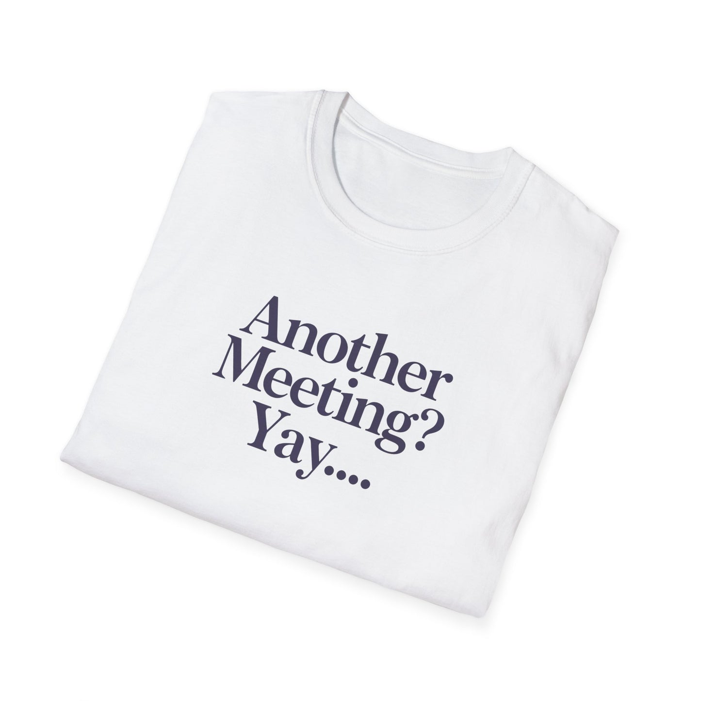 Funny Meeting T-Shirt, Gift for Coworkers