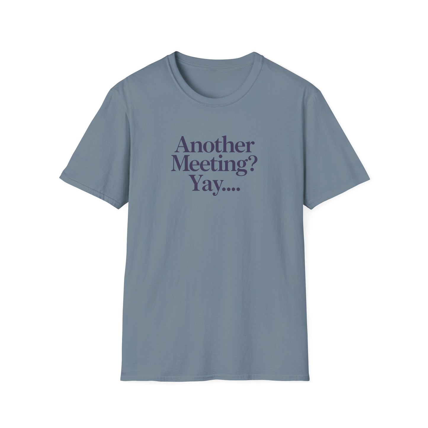 Funny Meeting T-Shirt, Gift for Coworkers
