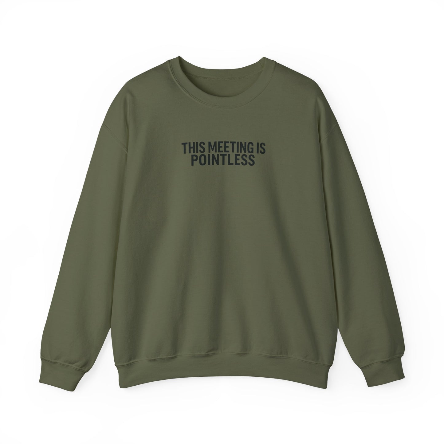 Funny Crewneck Sweatshirt - This Meeting Is Pointless