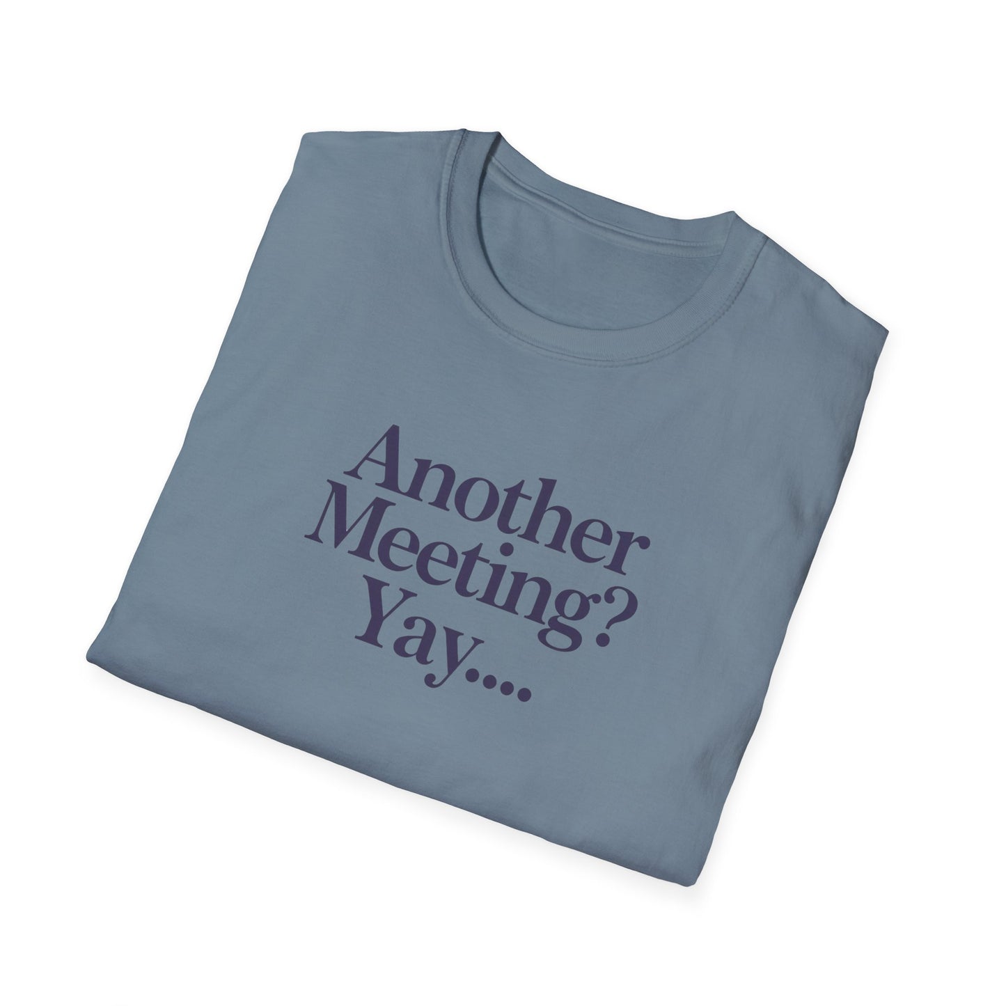 Funny Meeting T-Shirt, Gift for Coworkers