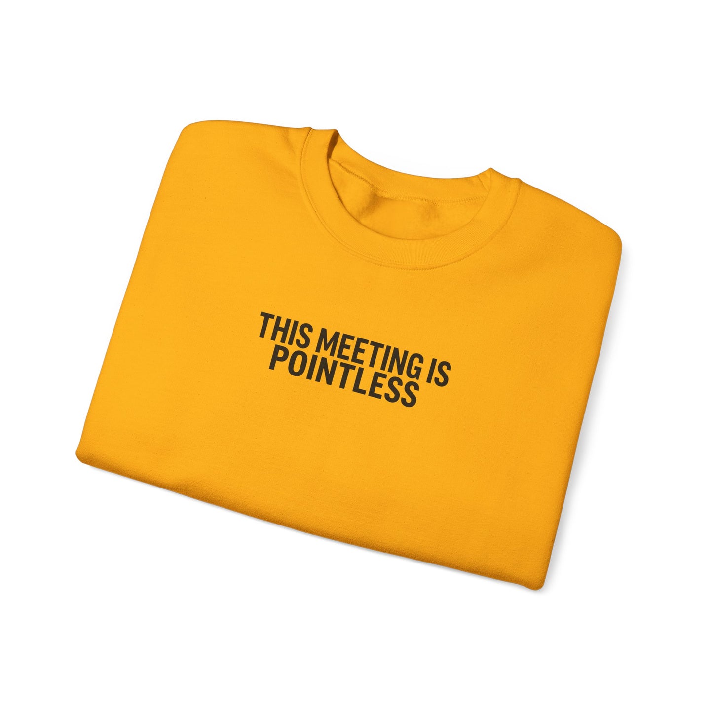 Funny Crewneck Sweatshirt - This Meeting Is Pointless