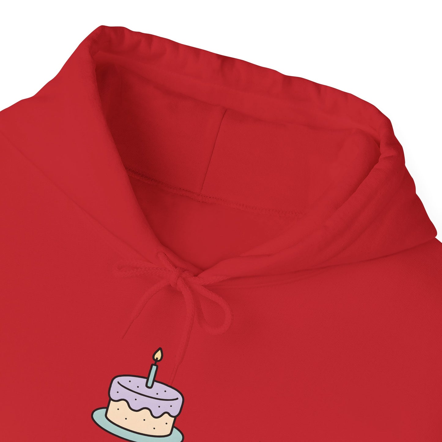 Birthday Cake Hoodie, Cute Gift for Cake Lovers
