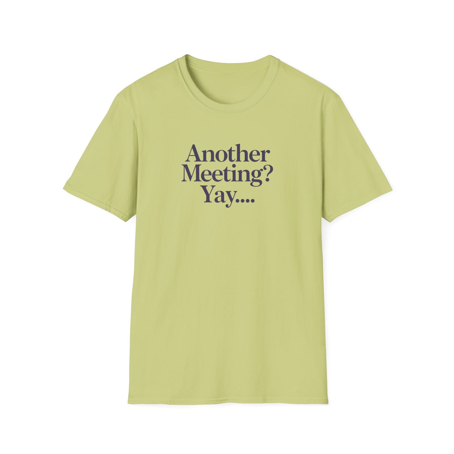 Funny Meeting T-Shirt, Gift for Coworkers