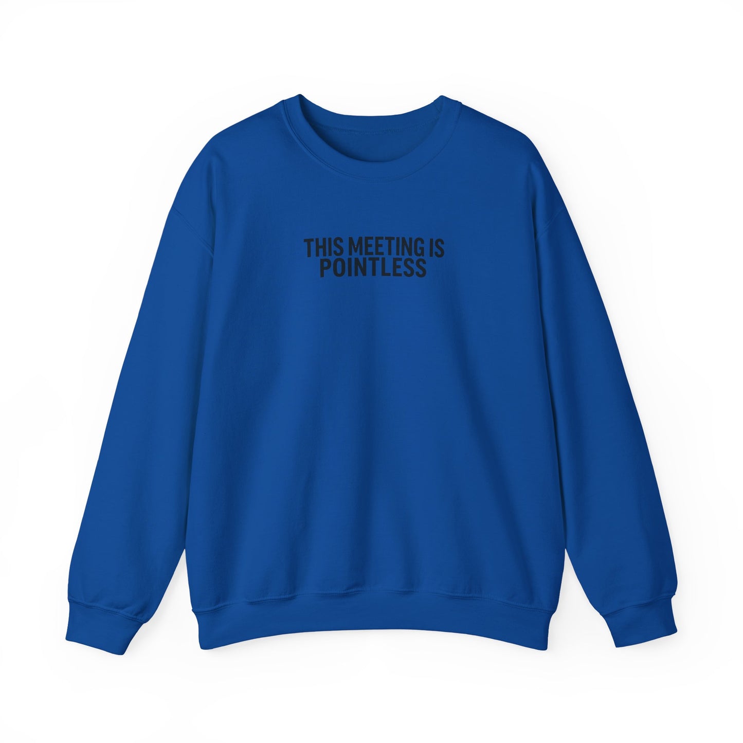 Funny Crewneck Sweatshirt - This Meeting Is Pointless