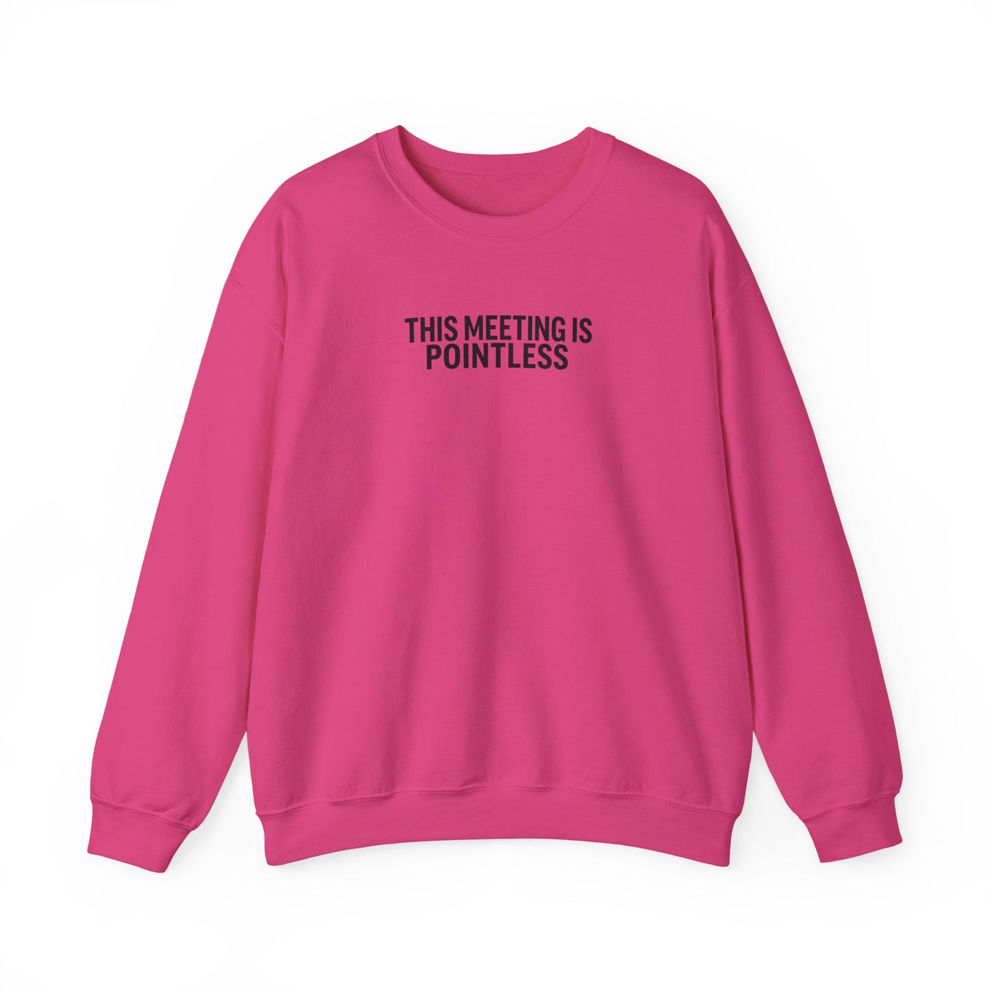 Funny Crewneck Sweatshirt - This Meeting Is Pointless