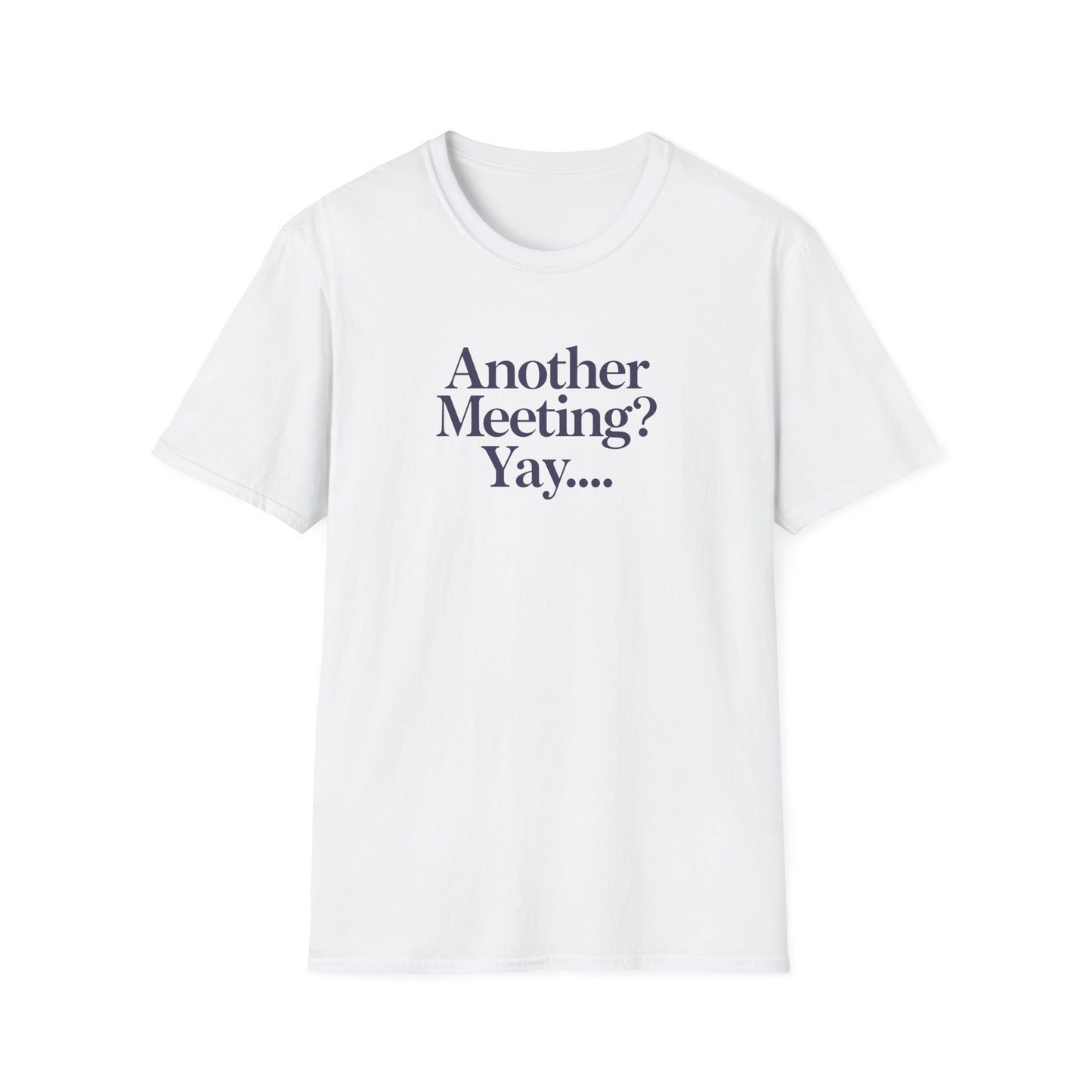 Funny Meeting T-Shirt, Gift for Coworkers