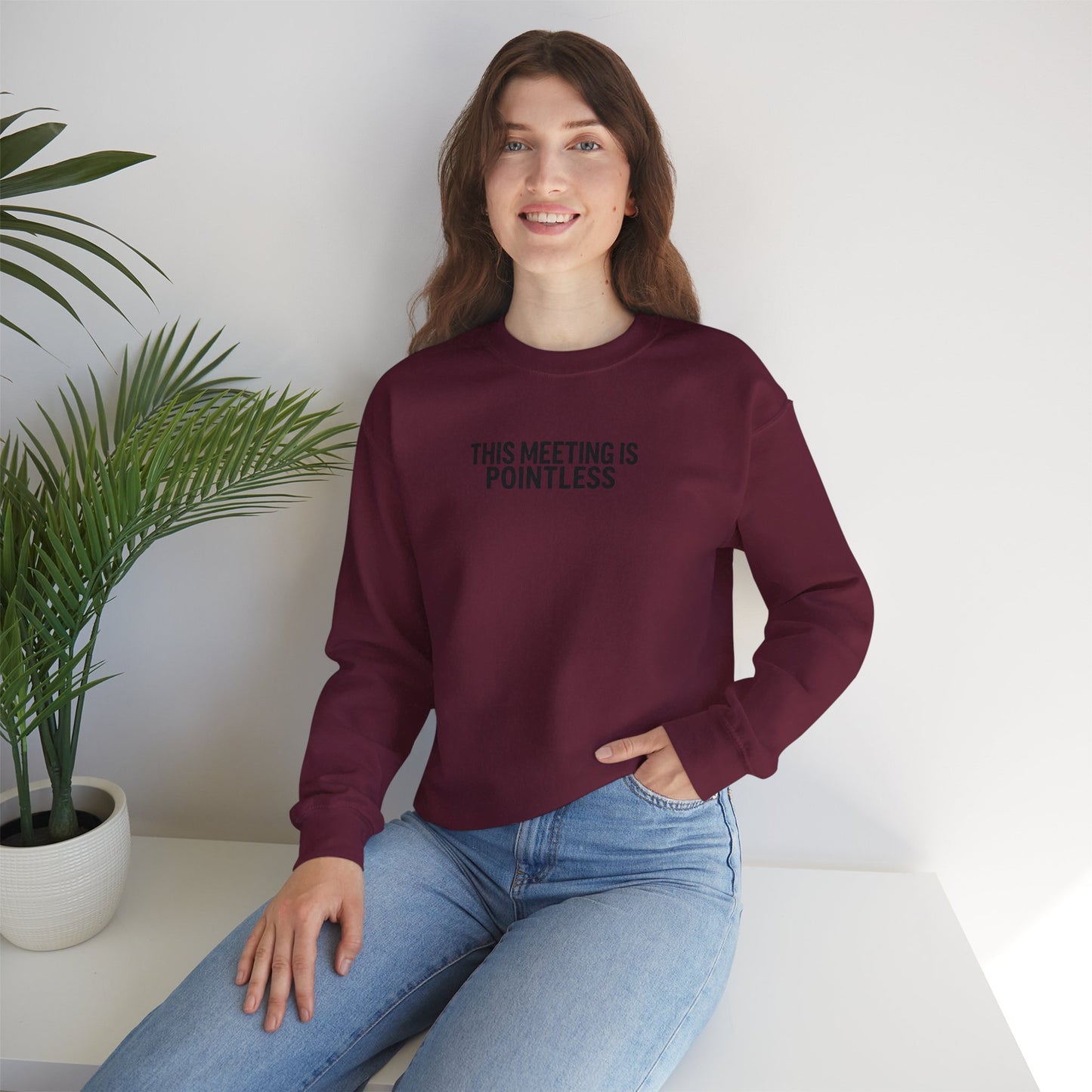 Funny Crewneck Sweatshirt - This Meeting Is Pointless
