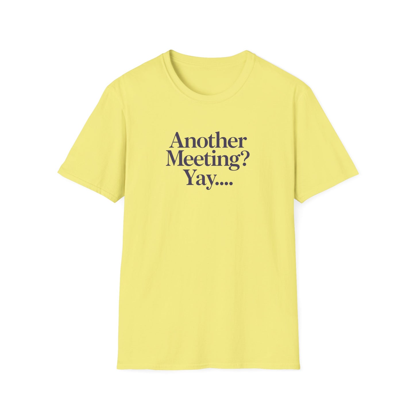 Funny Meeting T-Shirt, Gift for Coworkers