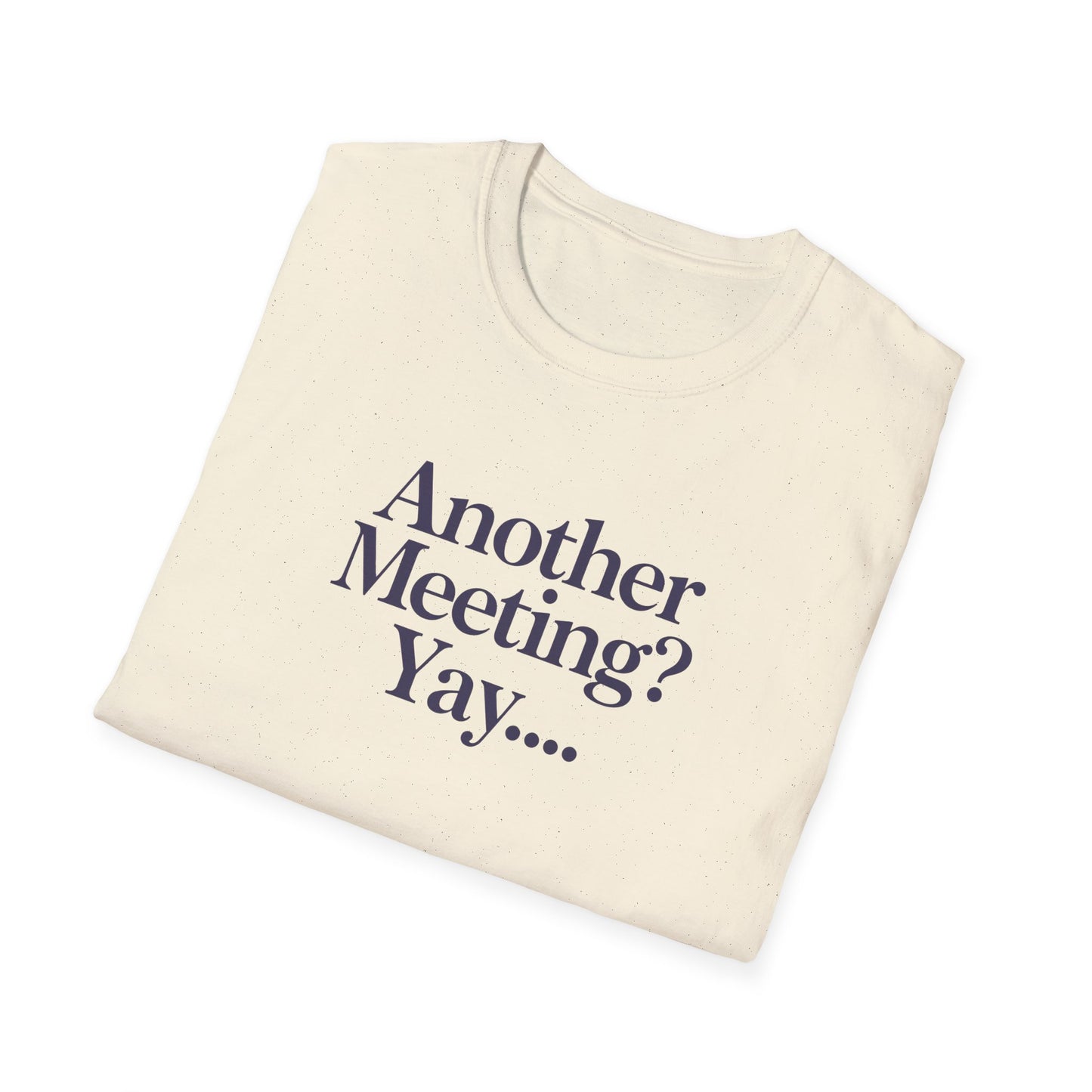 Funny Meeting T-Shirt, Gift for Coworkers