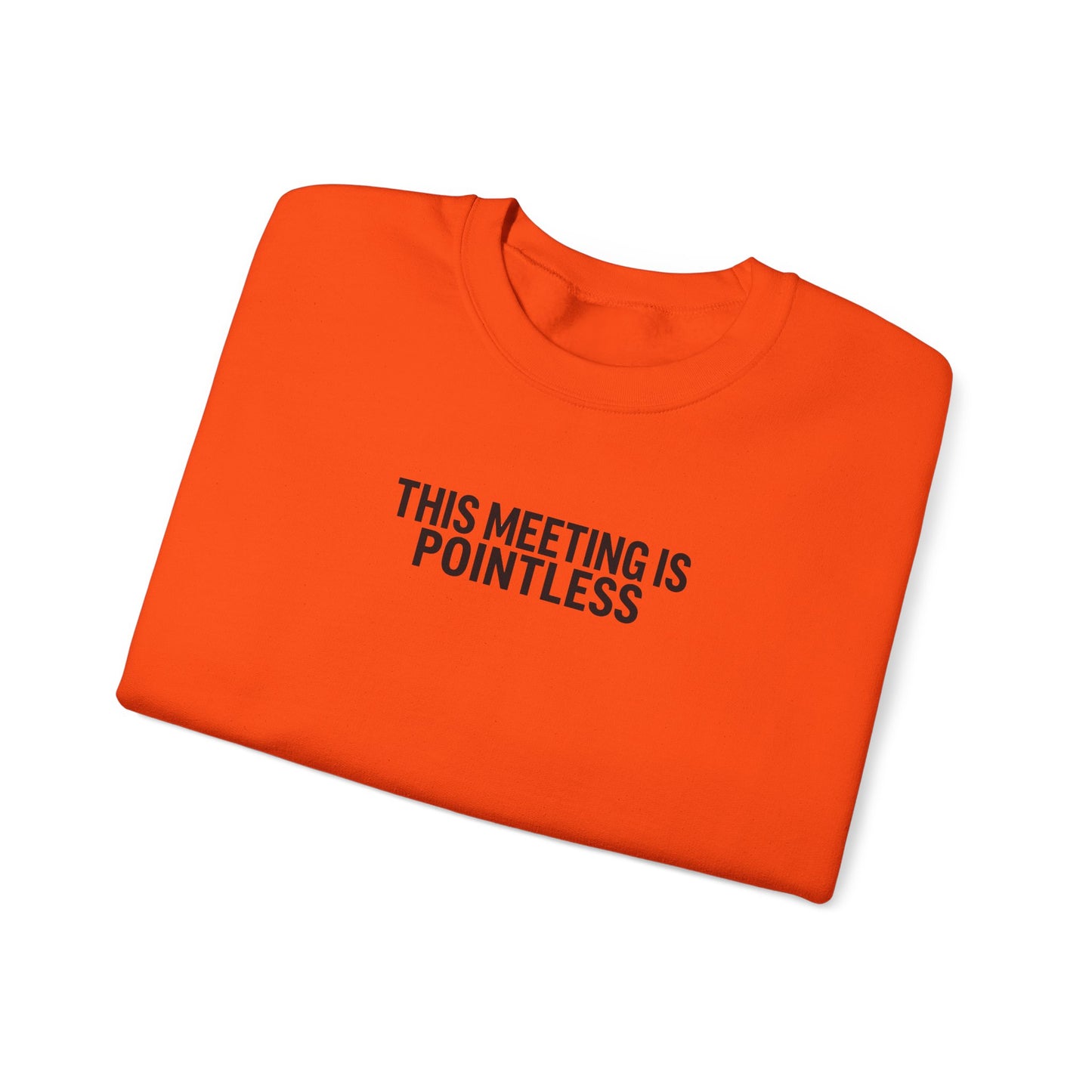 Funny Crewneck Sweatshirt - This Meeting Is Pointless