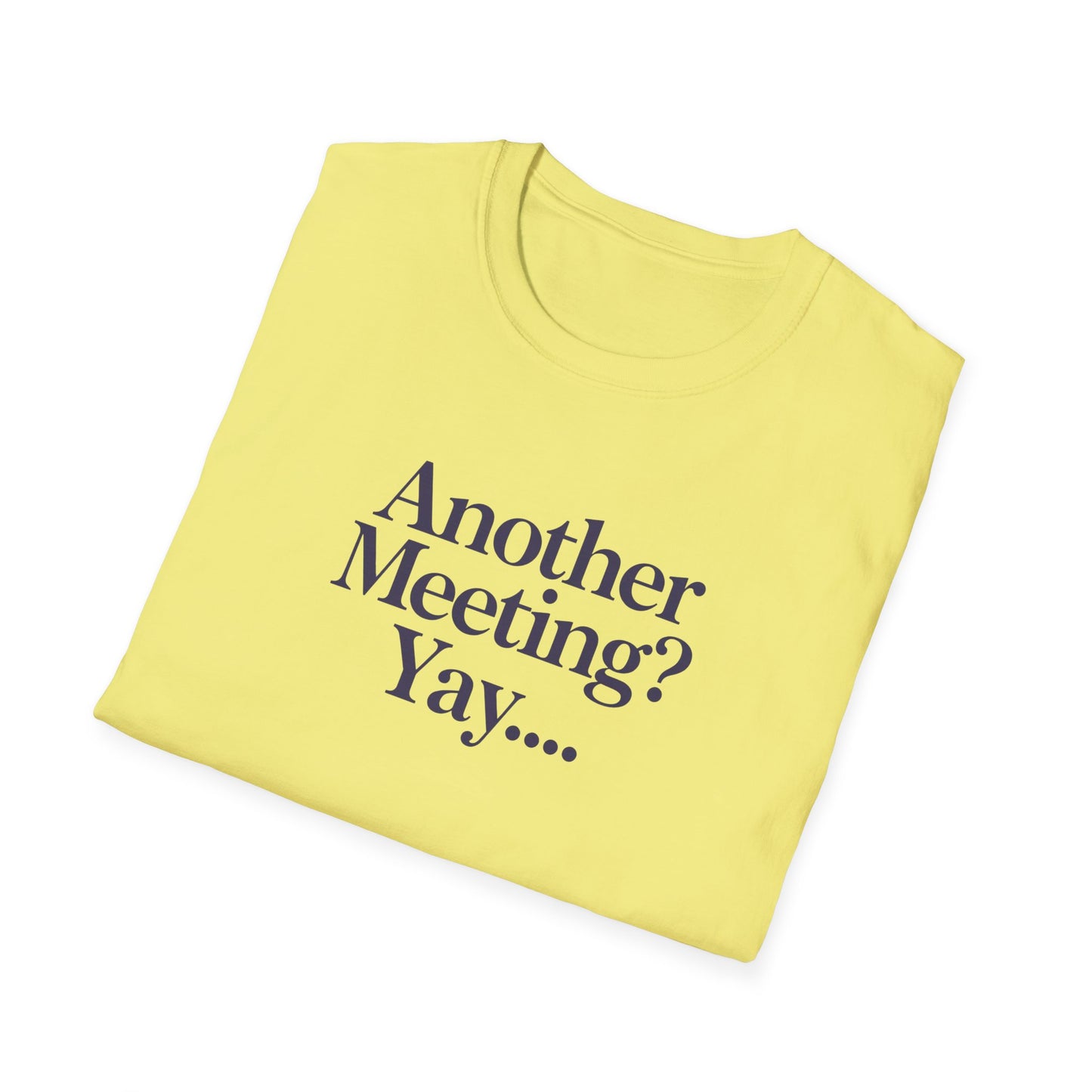 Funny Meeting T-Shirt, Gift for Coworkers