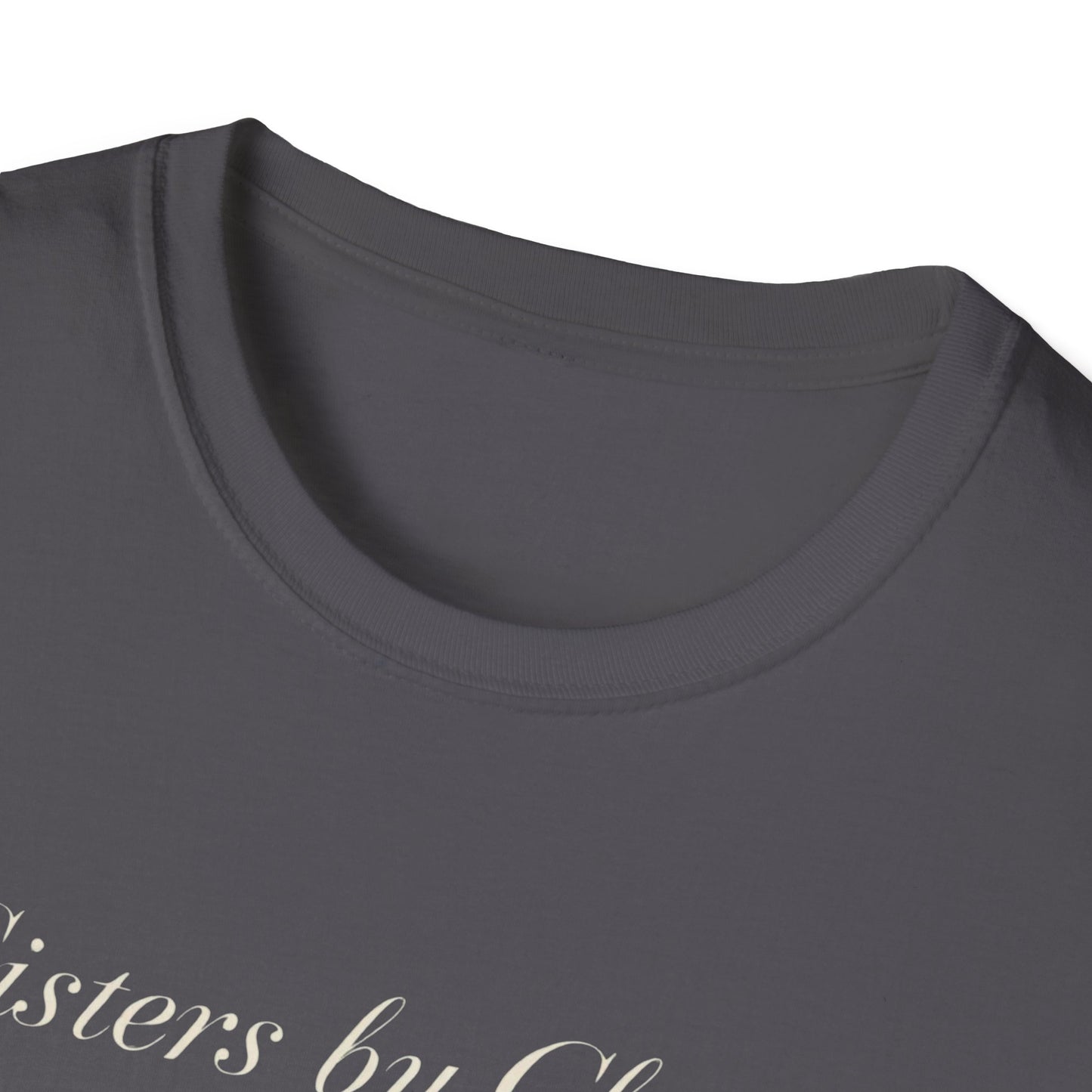 Sisters by Chance, Friends by Choice T-Shirt
