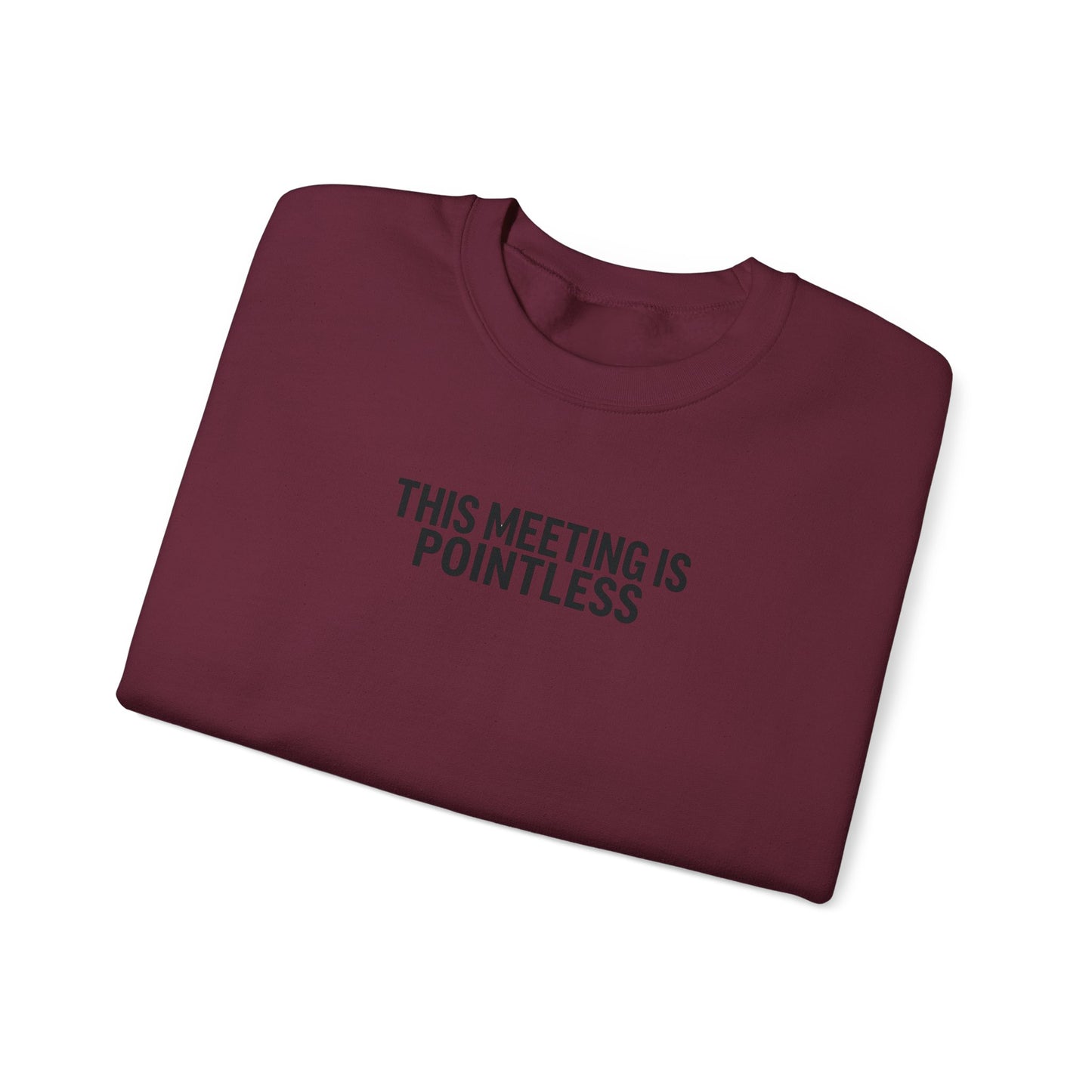 Funny Crewneck Sweatshirt - This Meeting Is Pointless
