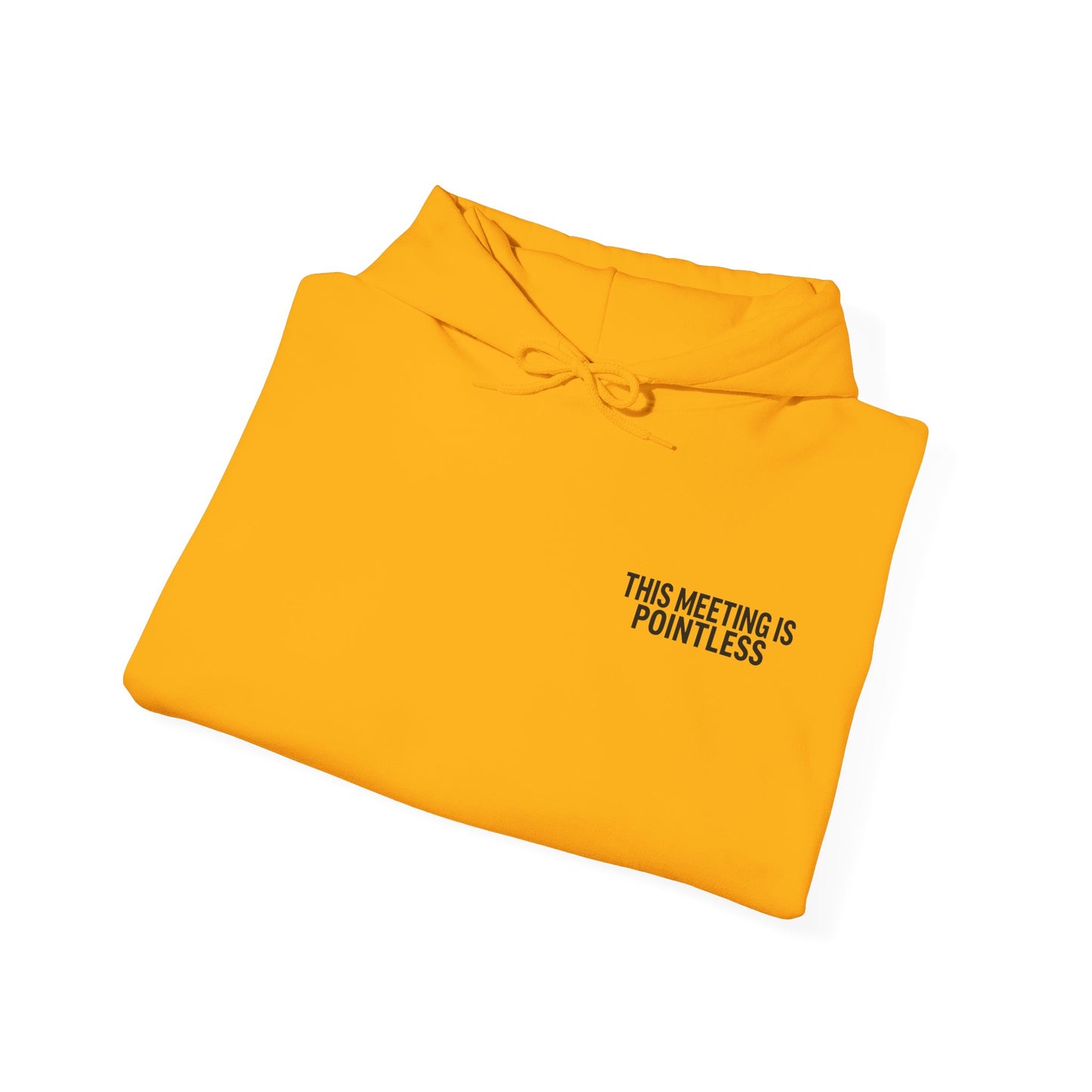This Meeting is Pointless Hoodie, Office Jokes Hoodie