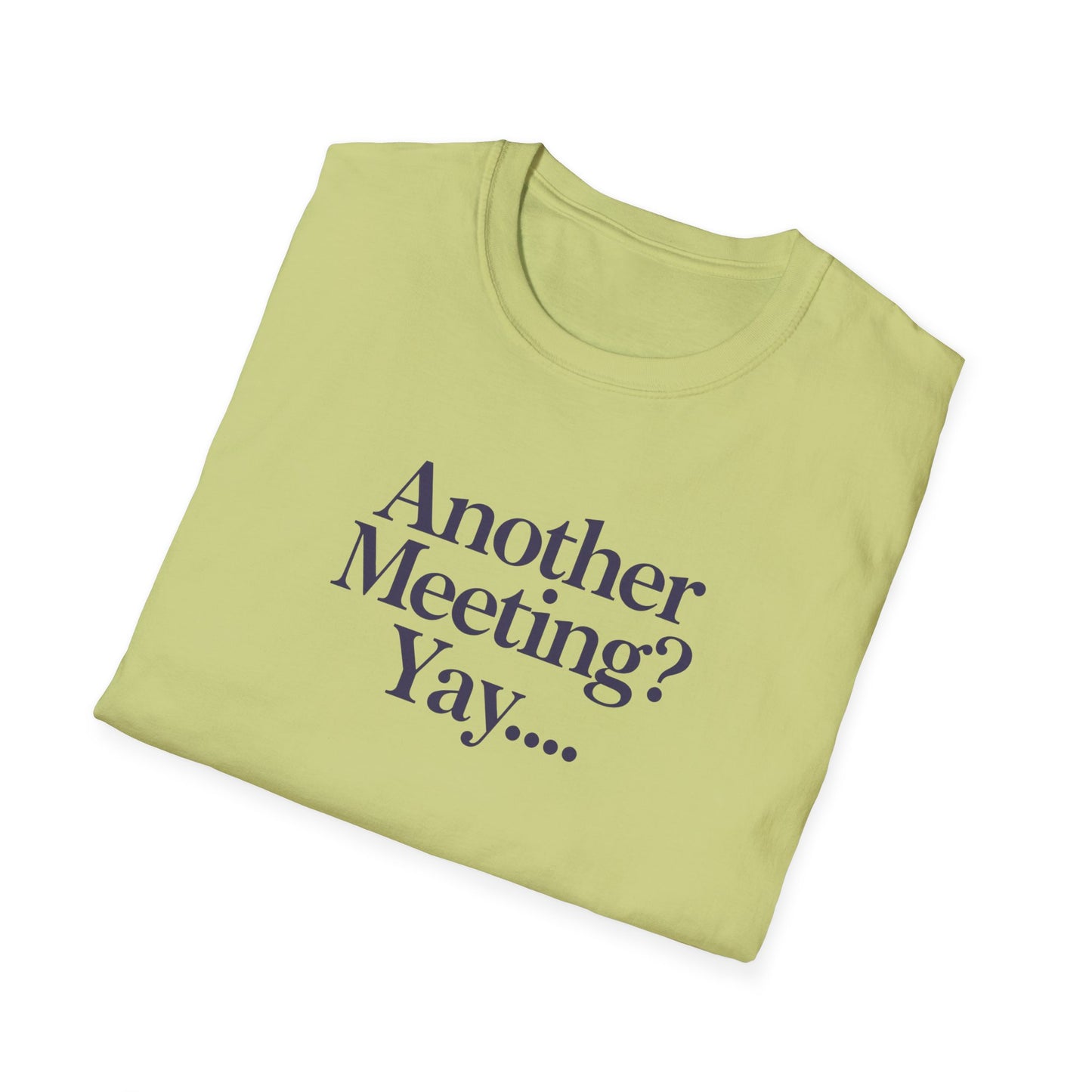 Funny Meeting T-Shirt, Gift for Coworkers