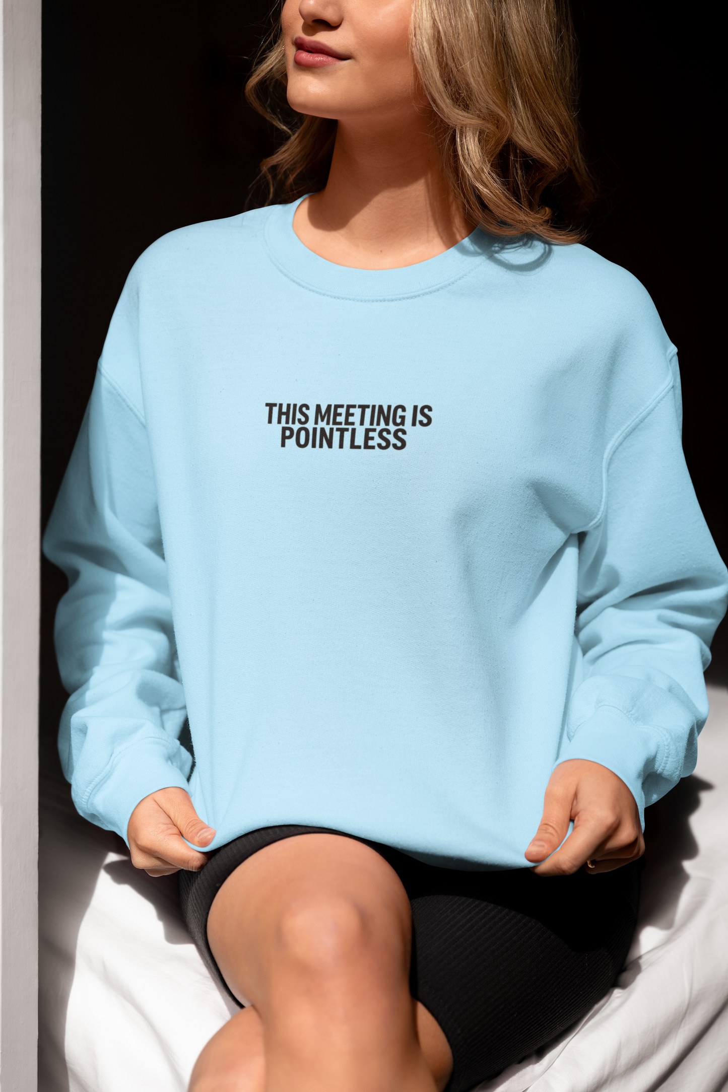 Funny Crewneck Sweatshirt - This Meeting Is Pointless