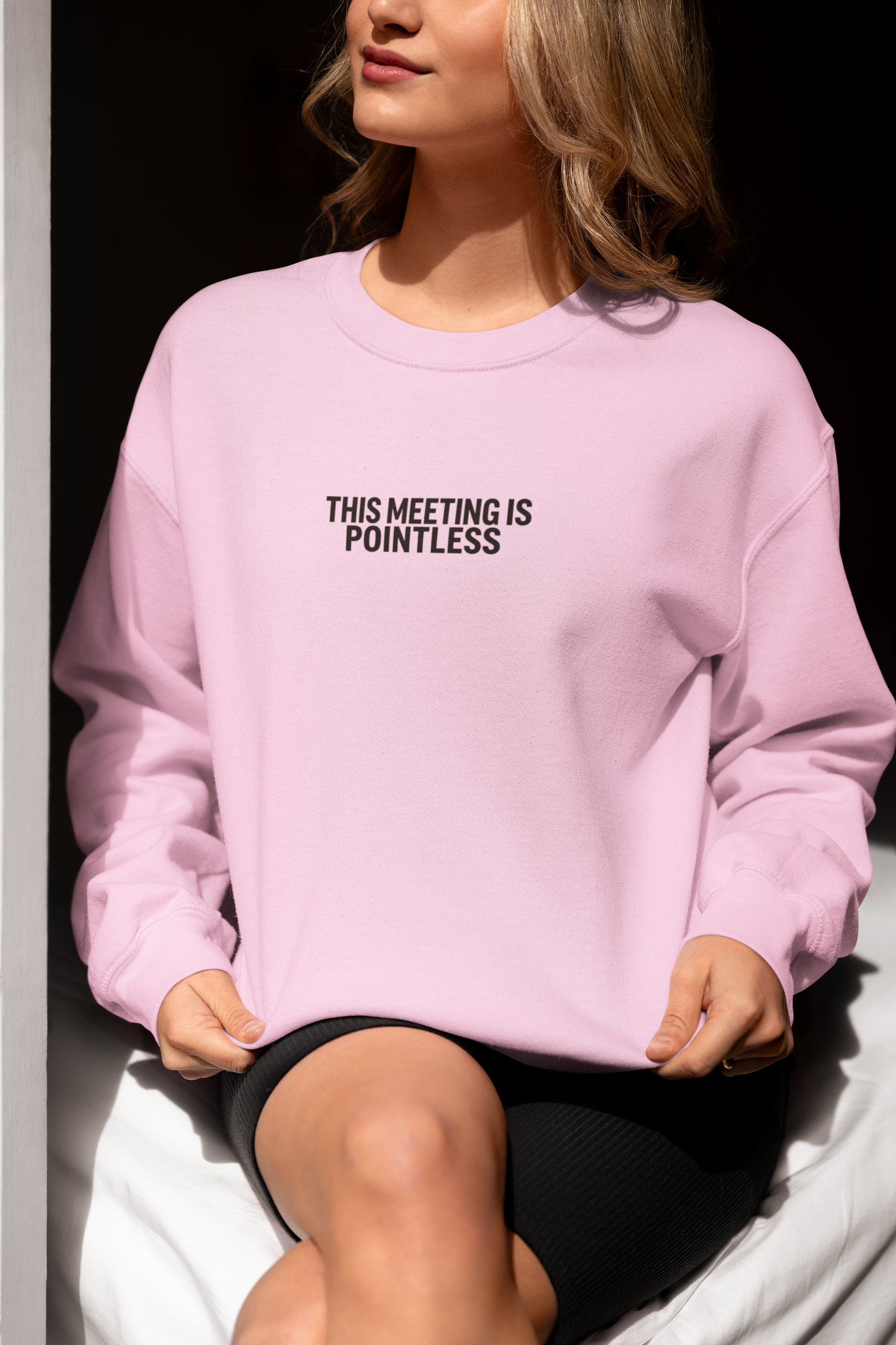 Funny Crewneck Sweatshirt - This Meeting Is Pointless