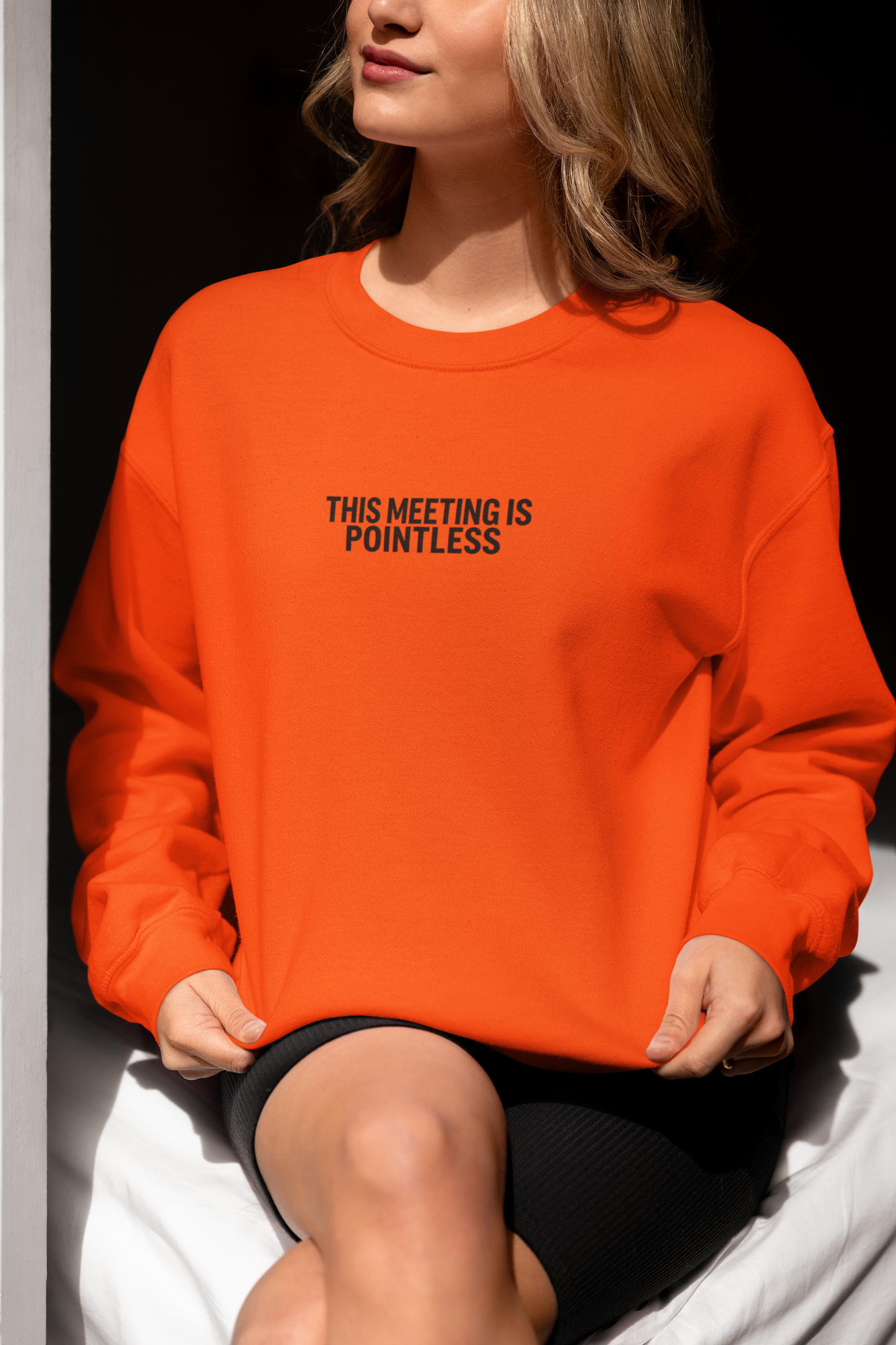 Funny Crewneck Sweatshirt - This Meeting Is Pointless