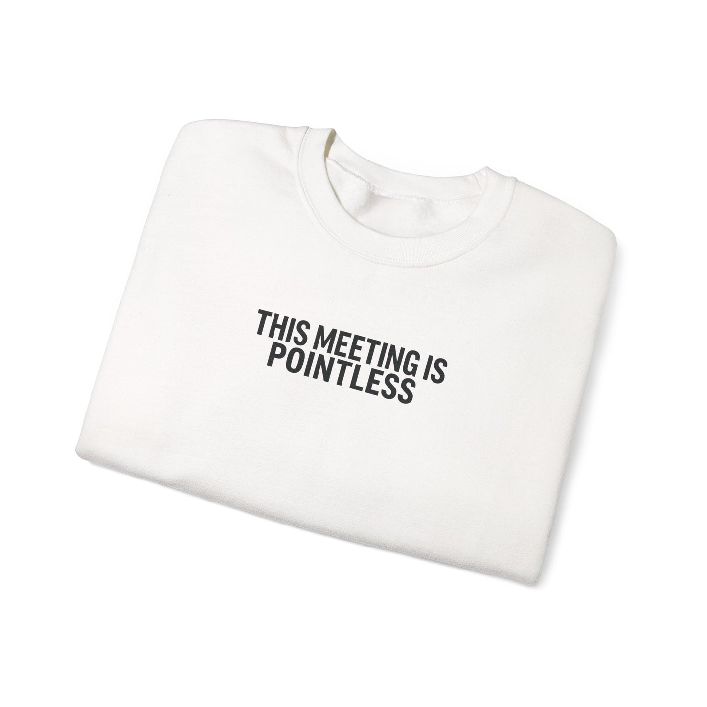 Funny Crewneck Sweatshirt - This Meeting Is Pointless