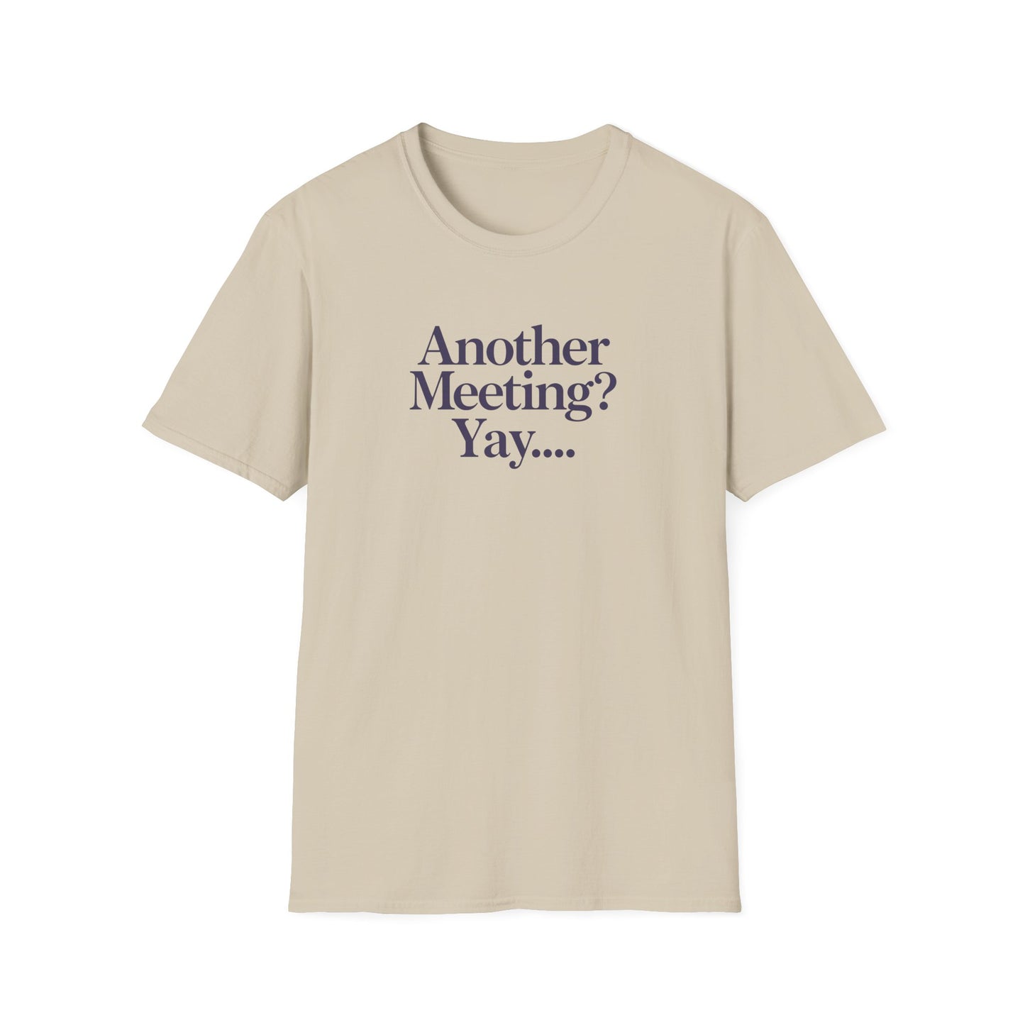 Funny Meeting T-Shirt, Gift for Coworkers