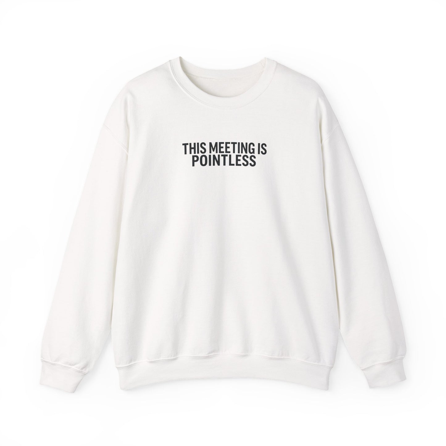 Funny Crewneck Sweatshirt - This Meeting Is Pointless