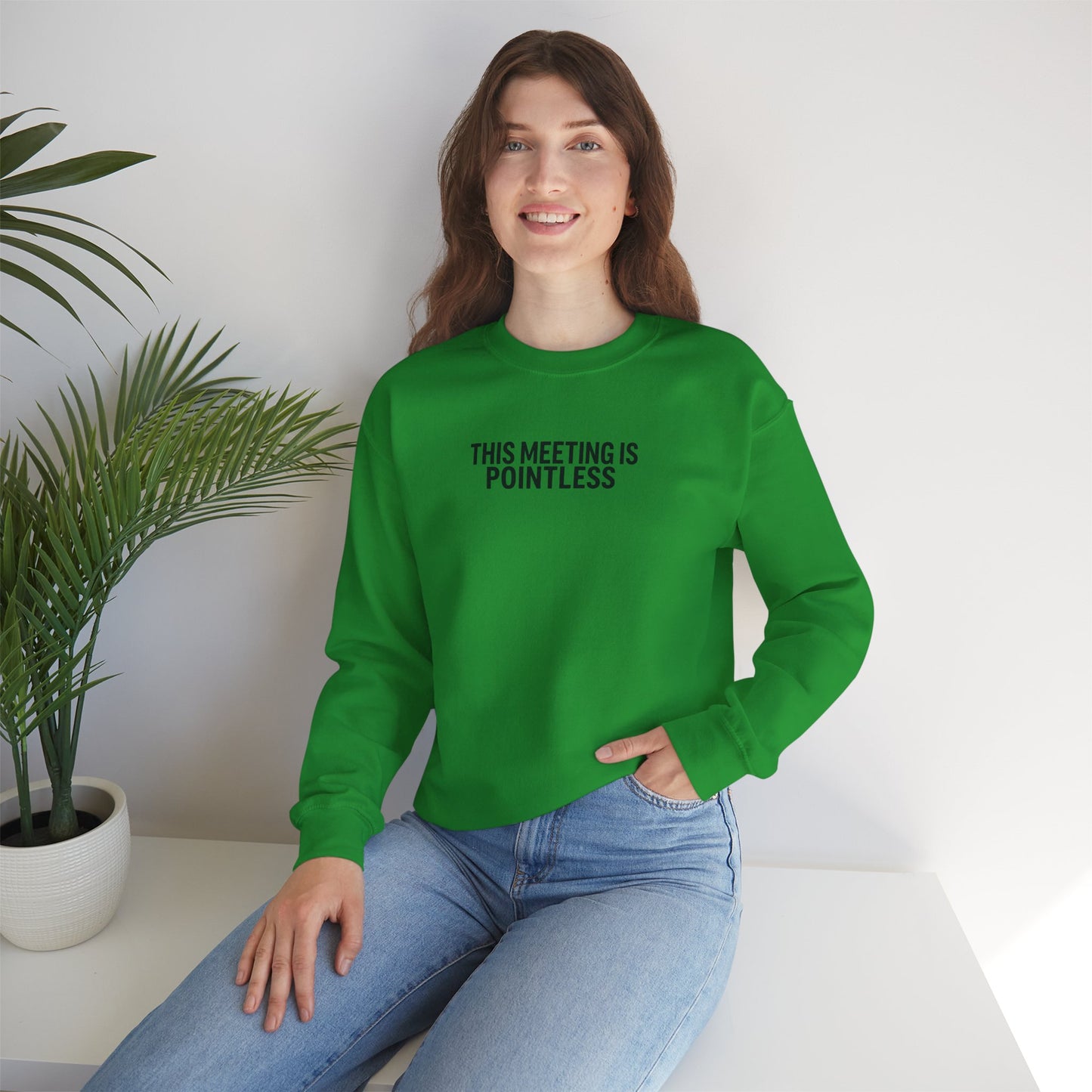Funny Crewneck Sweatshirt - This Meeting Is Pointless