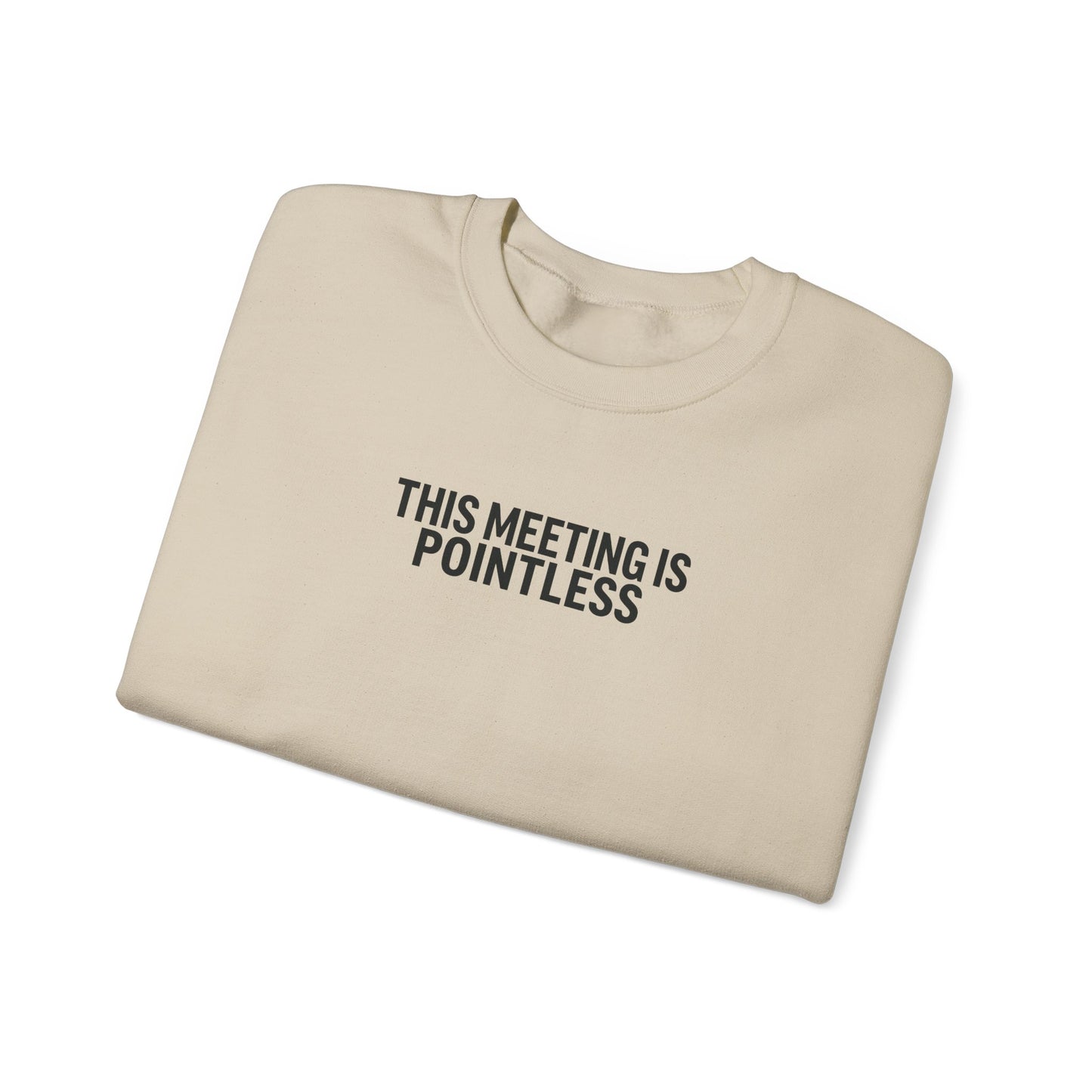 Funny Crewneck Sweatshirt - This Meeting Is Pointless