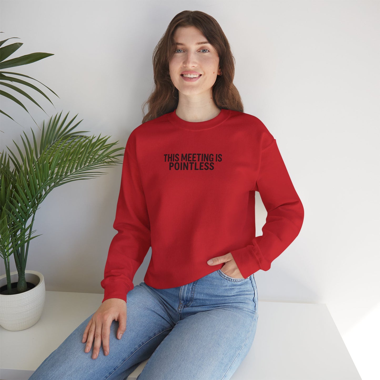 Funny Crewneck Sweatshirt - This Meeting Is Pointless