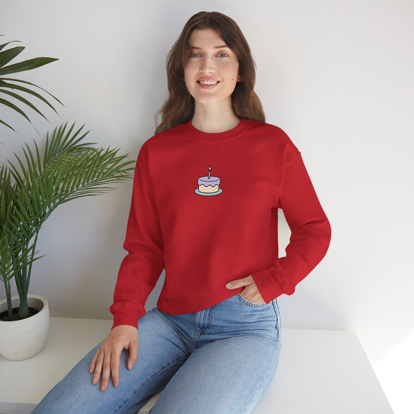 Cute Cake Birthday Sweatshirt