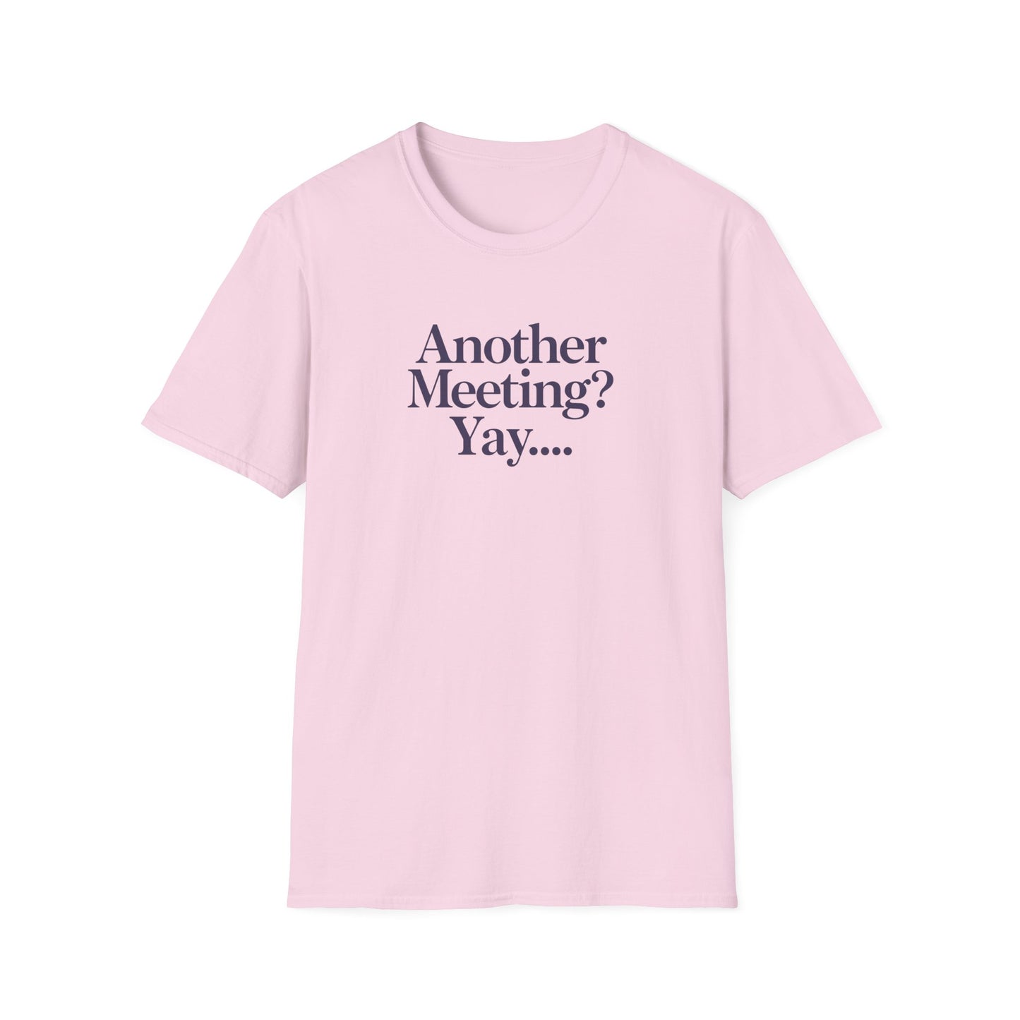Funny Meeting T-Shirt, Gift for Coworkers