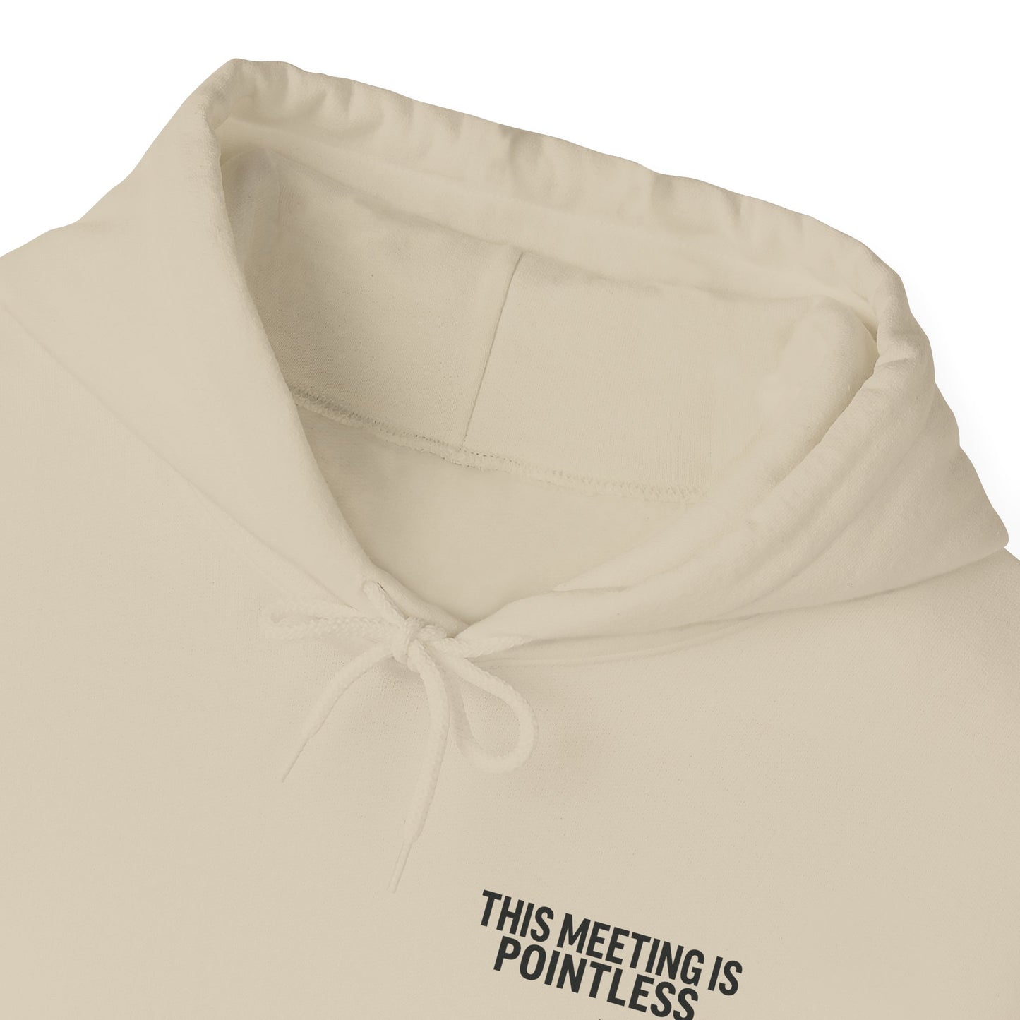 This Meeting is Pointless Hoodie, Office Jokes Hoodie