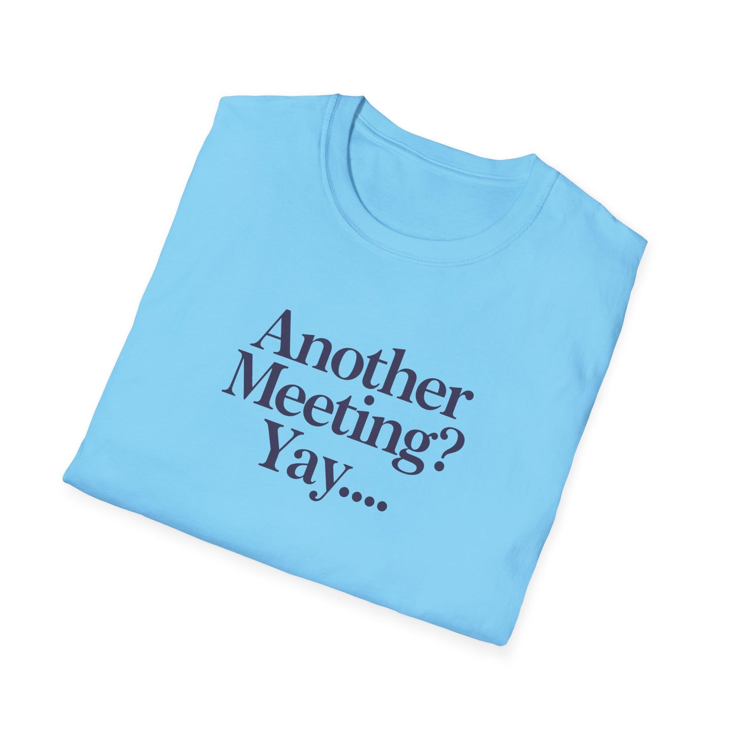 Funny Meeting T-Shirt, Gift for Coworkers