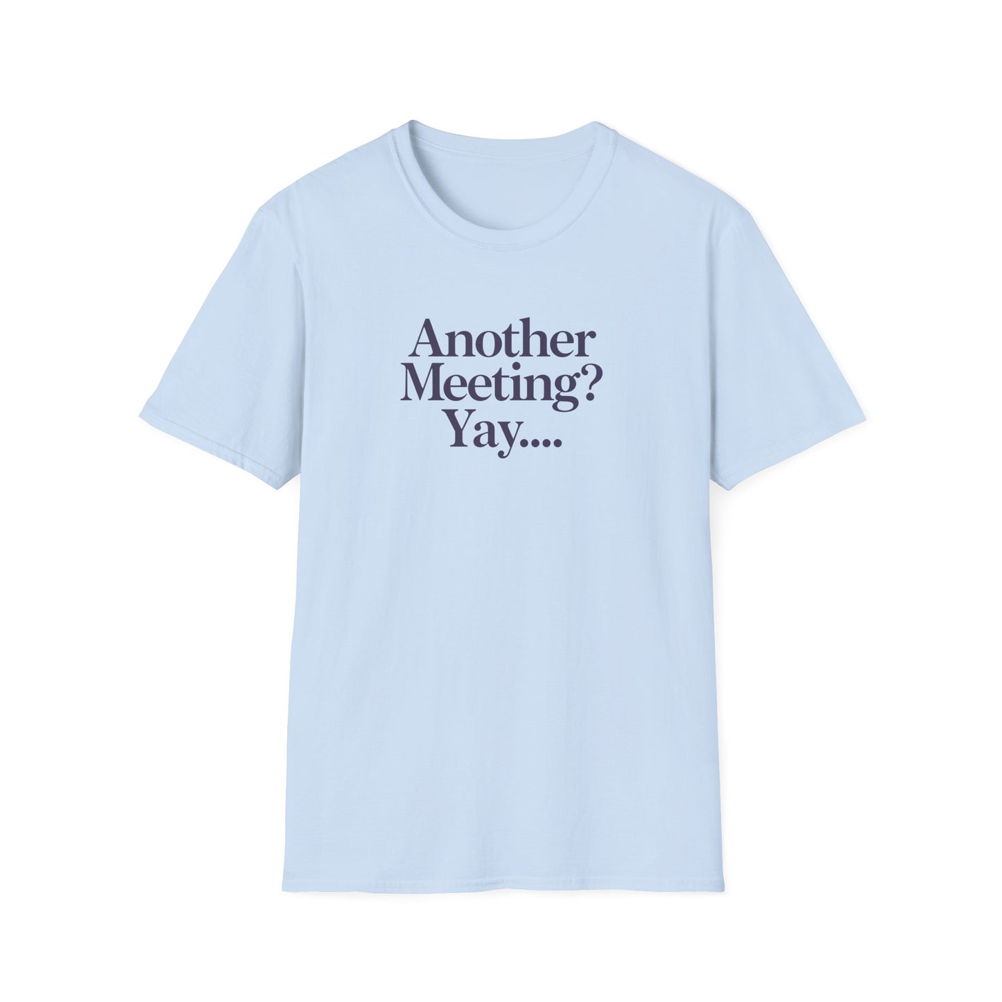 Funny Meeting T-Shirt, Gift for Coworkers
