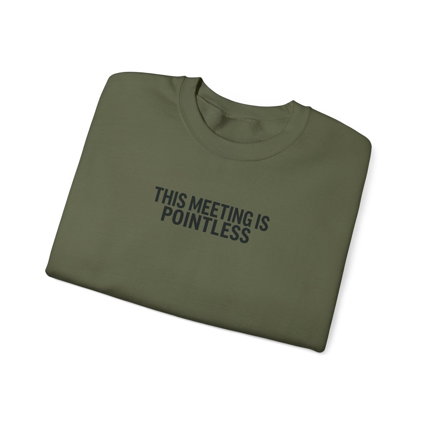 Funny Crewneck Sweatshirt - This Meeting Is Pointless