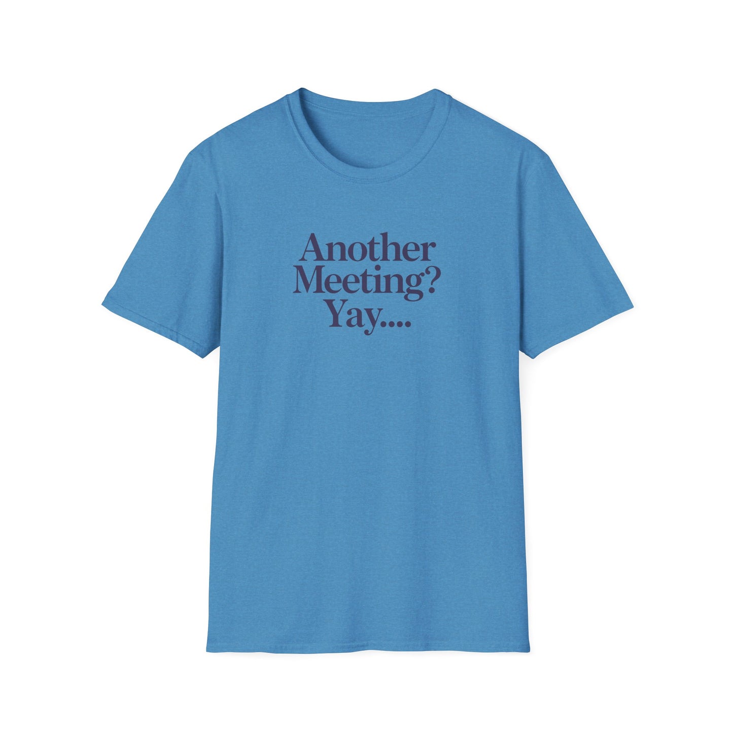 Funny Meeting T-Shirt, Gift for Coworkers