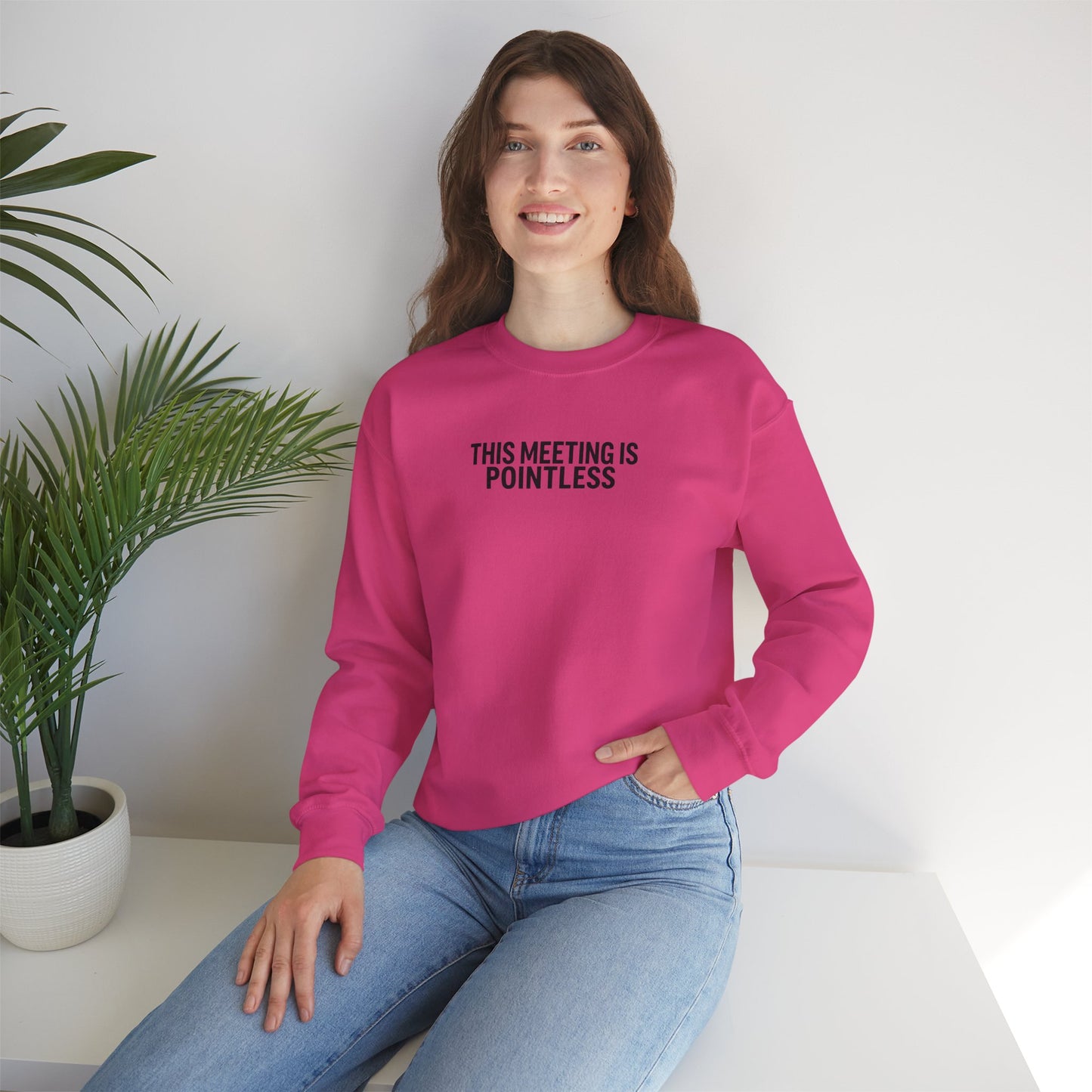 Funny Crewneck Sweatshirt - This Meeting Is Pointless