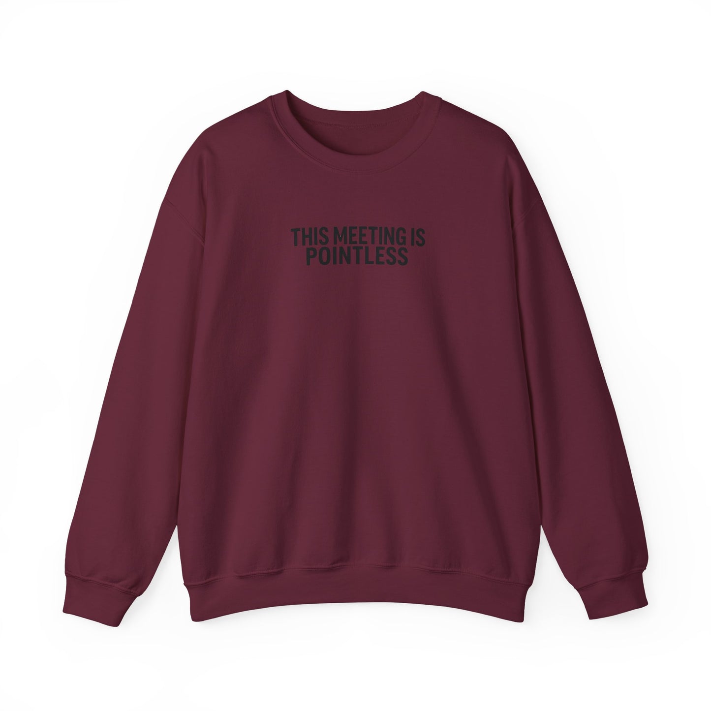 Funny Crewneck Sweatshirt - This Meeting Is Pointless