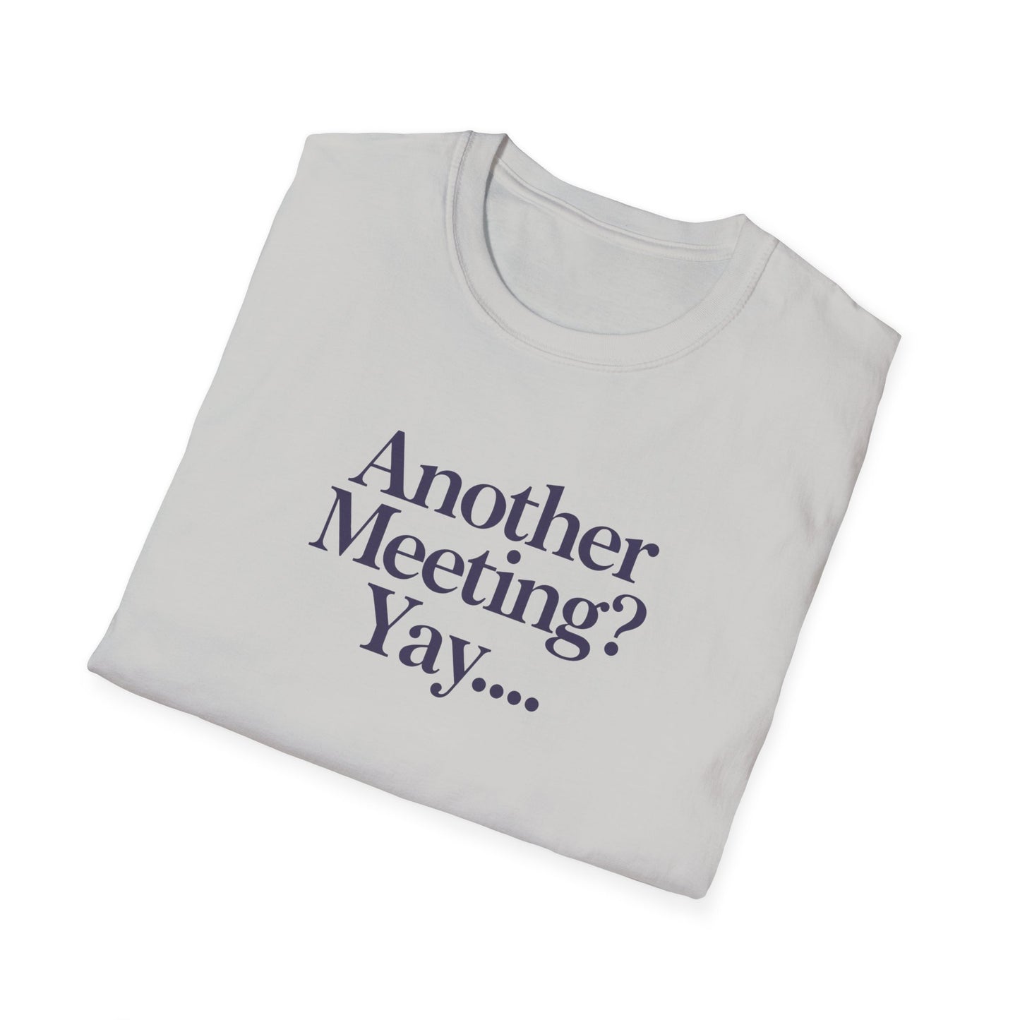 Funny Meeting T-Shirt, Gift for Coworkers