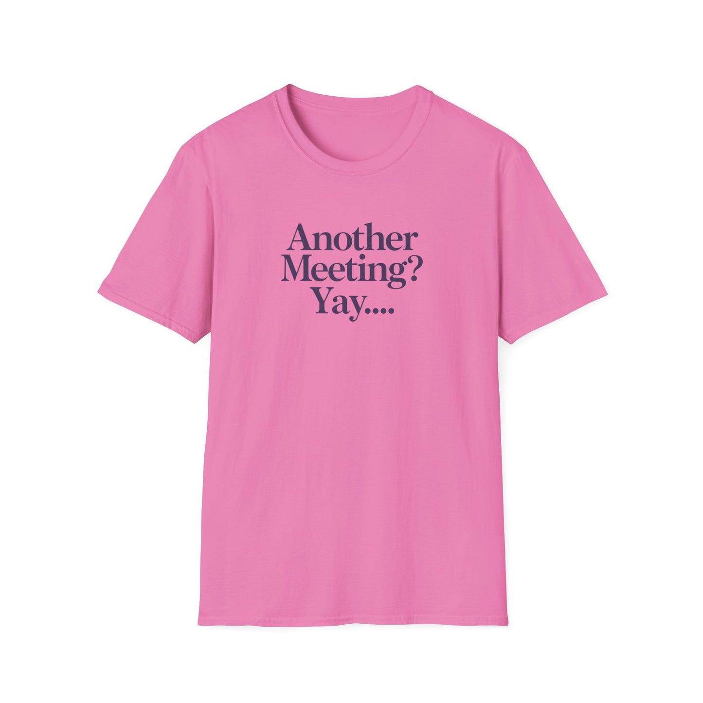 Funny Meeting T-Shirt, Gift for Coworkers